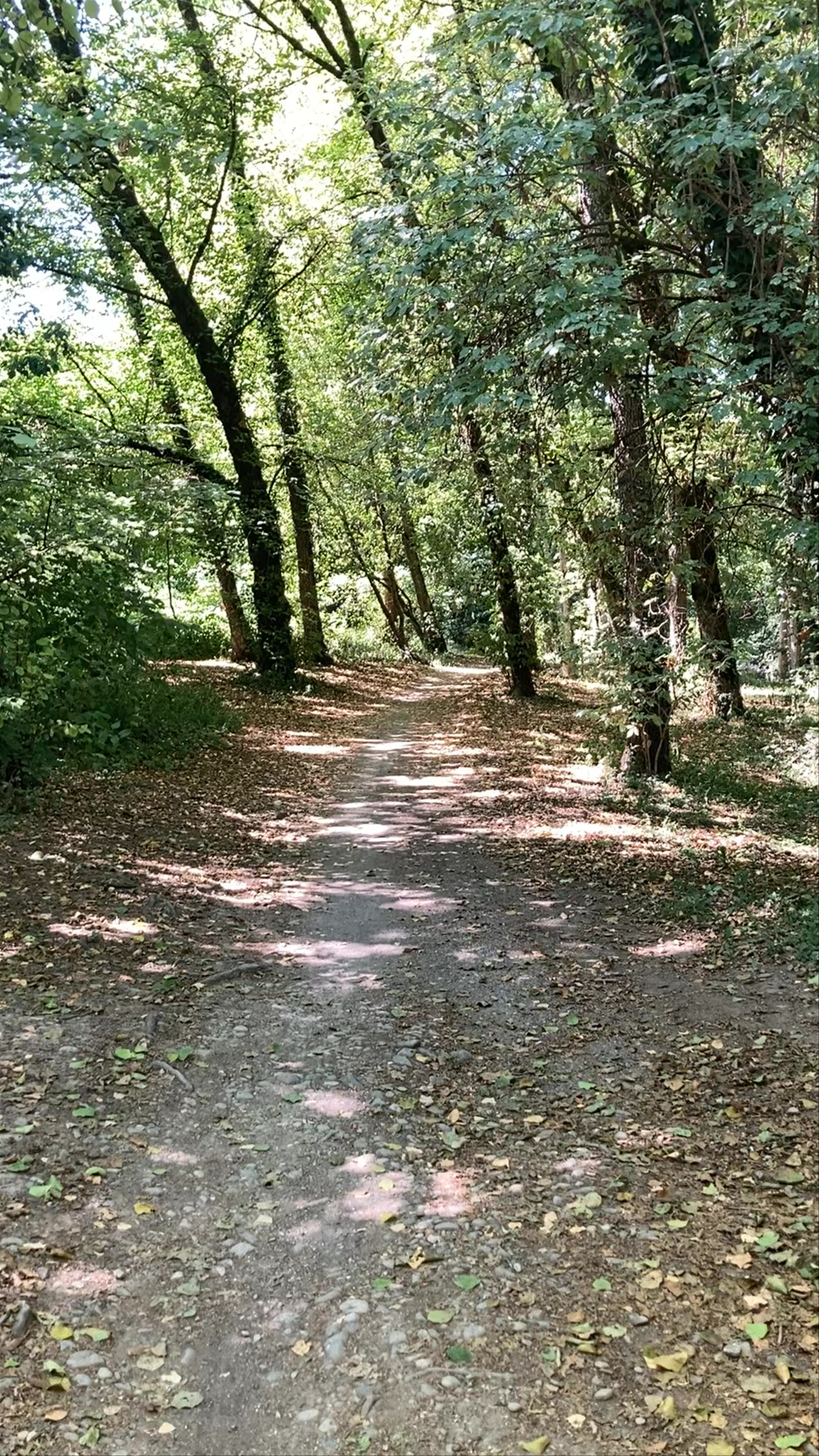 Promenade du Thiou
