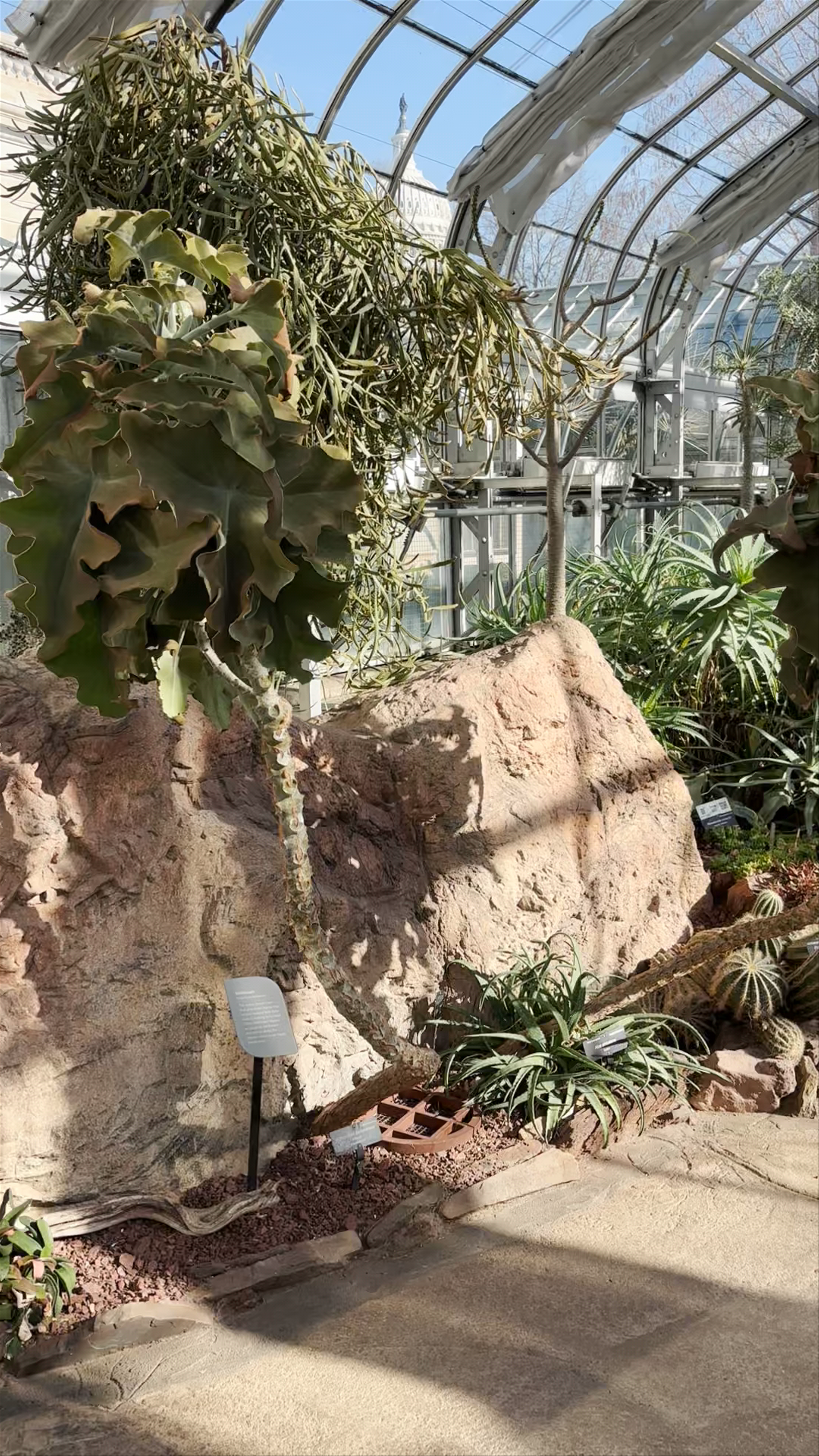 Jardín Botánico de los Estados Unidos