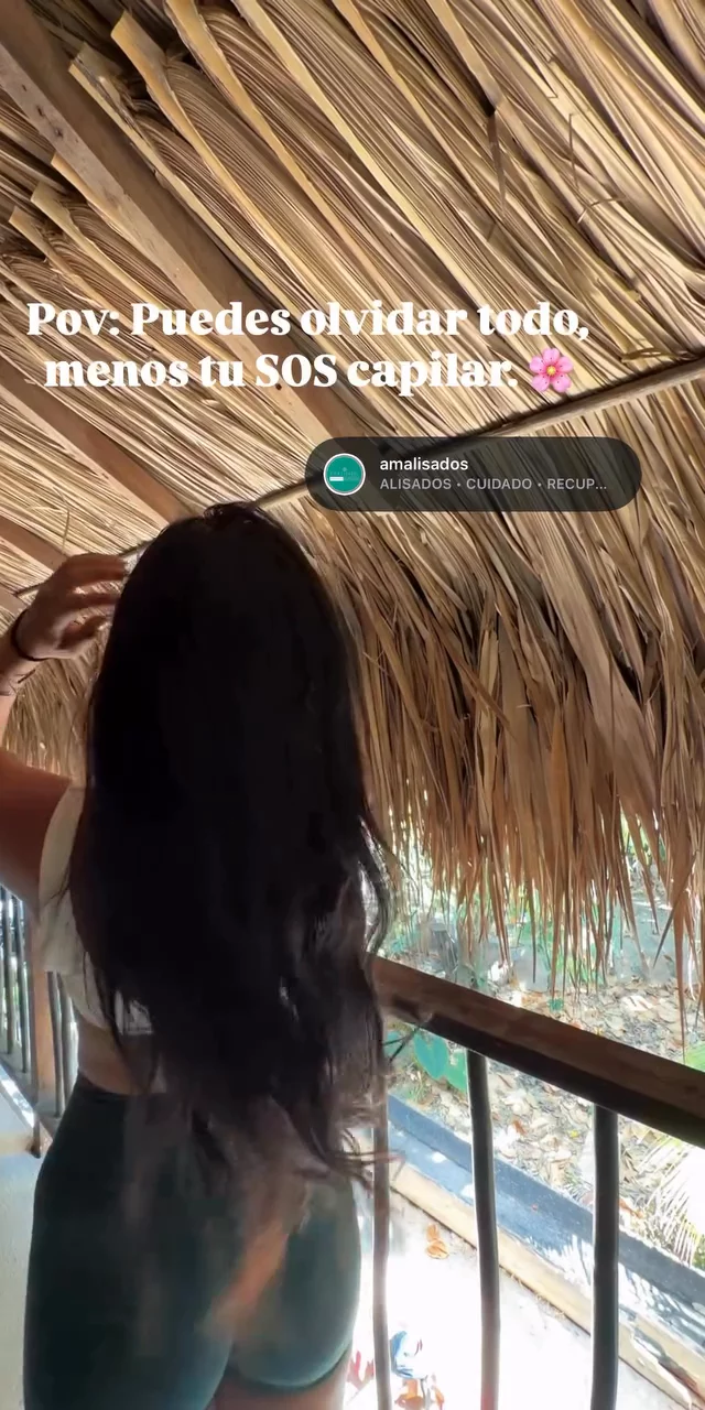 Contenido del creador