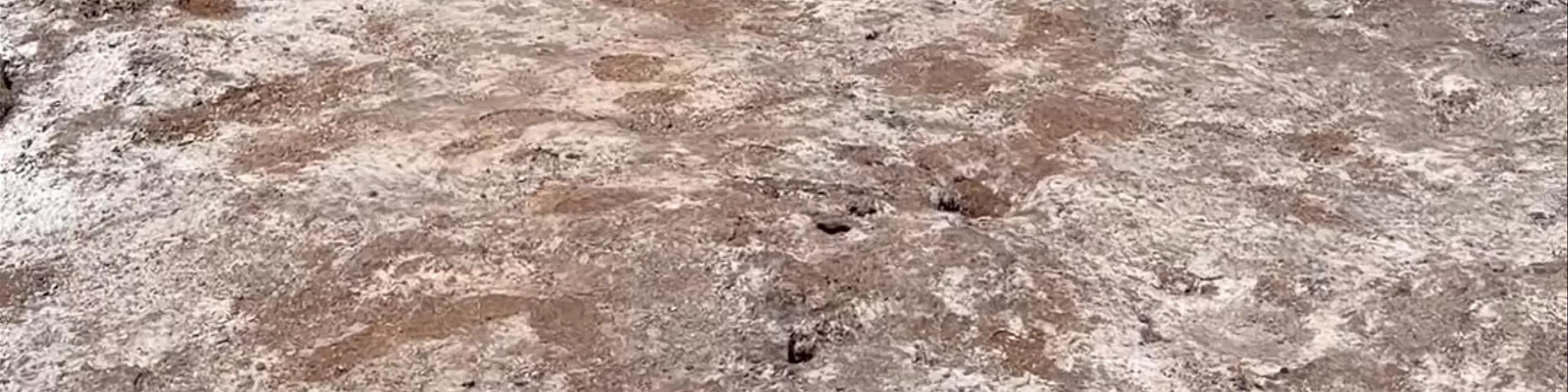 Valle de la Luna