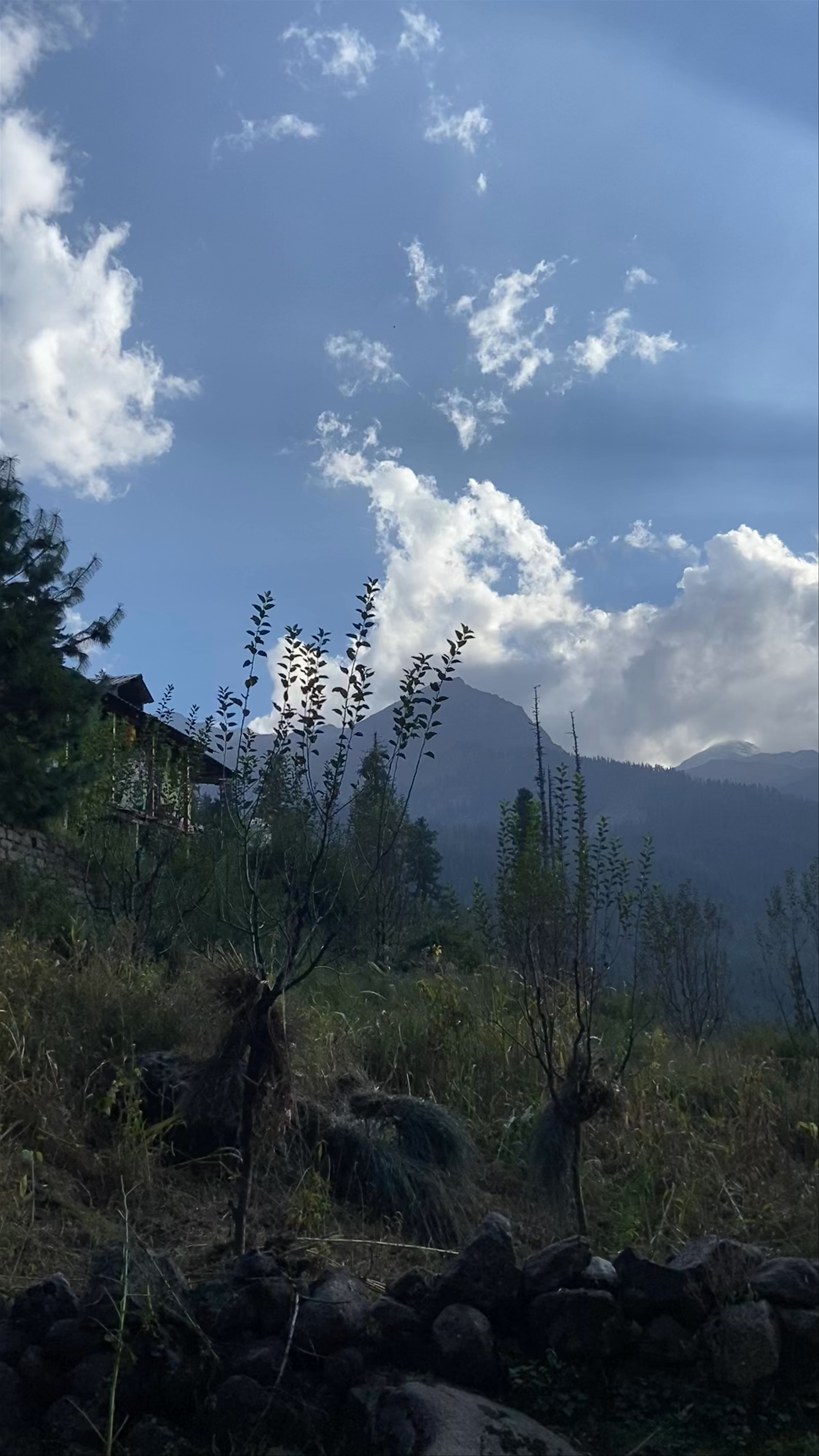 Serene Mountain Trail in Kalgha, Sosan, Himachal Pradesh