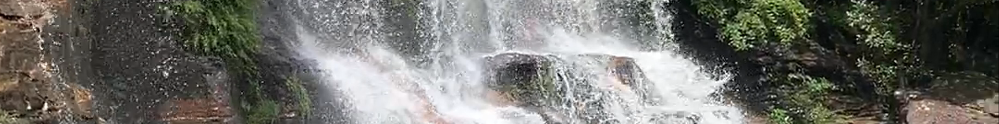 Tours & experiences in Wentworth Falls