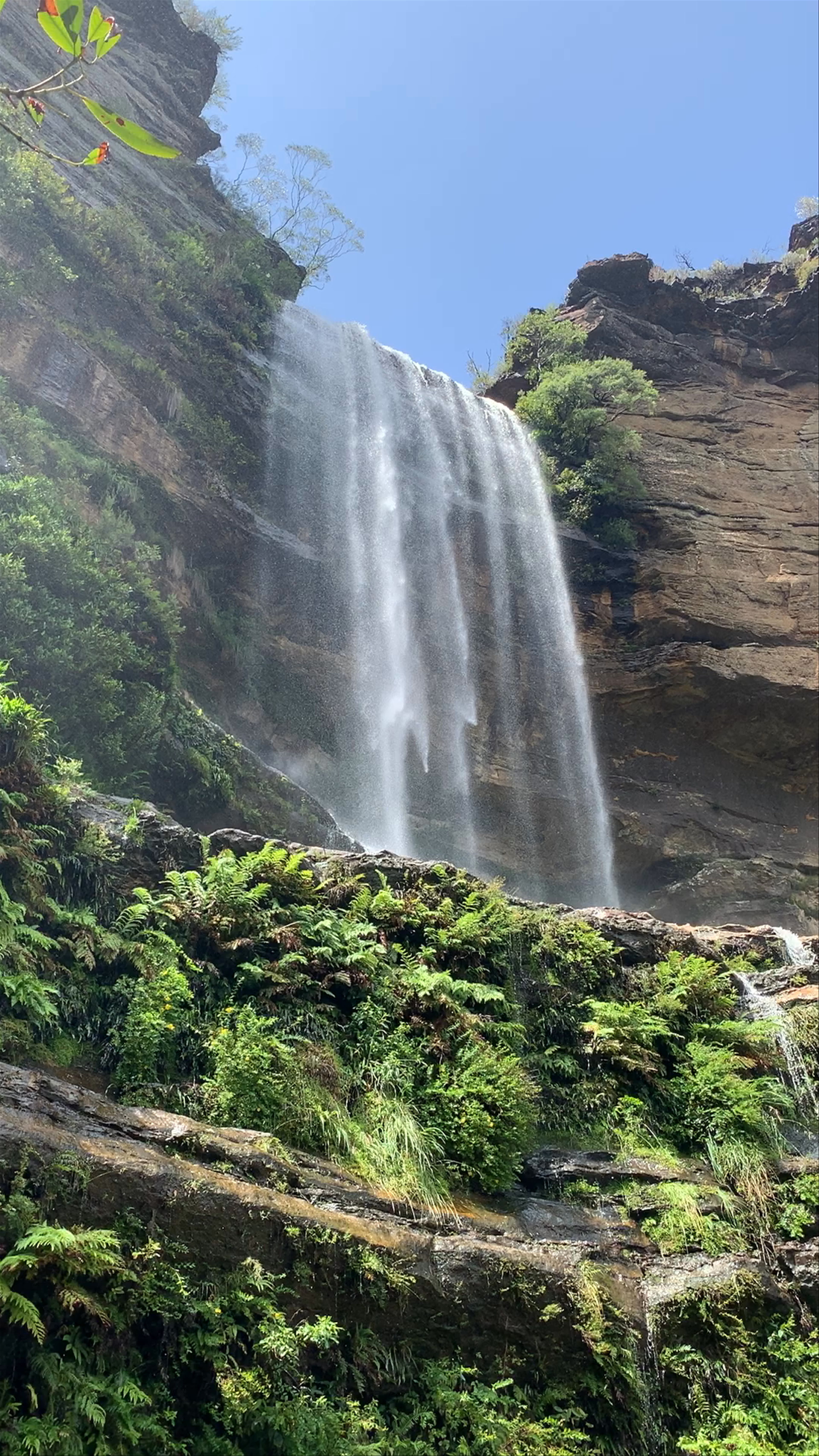 Wentworth Falls: Majestic Waterfall and Panoramic Views in Blue Mountains