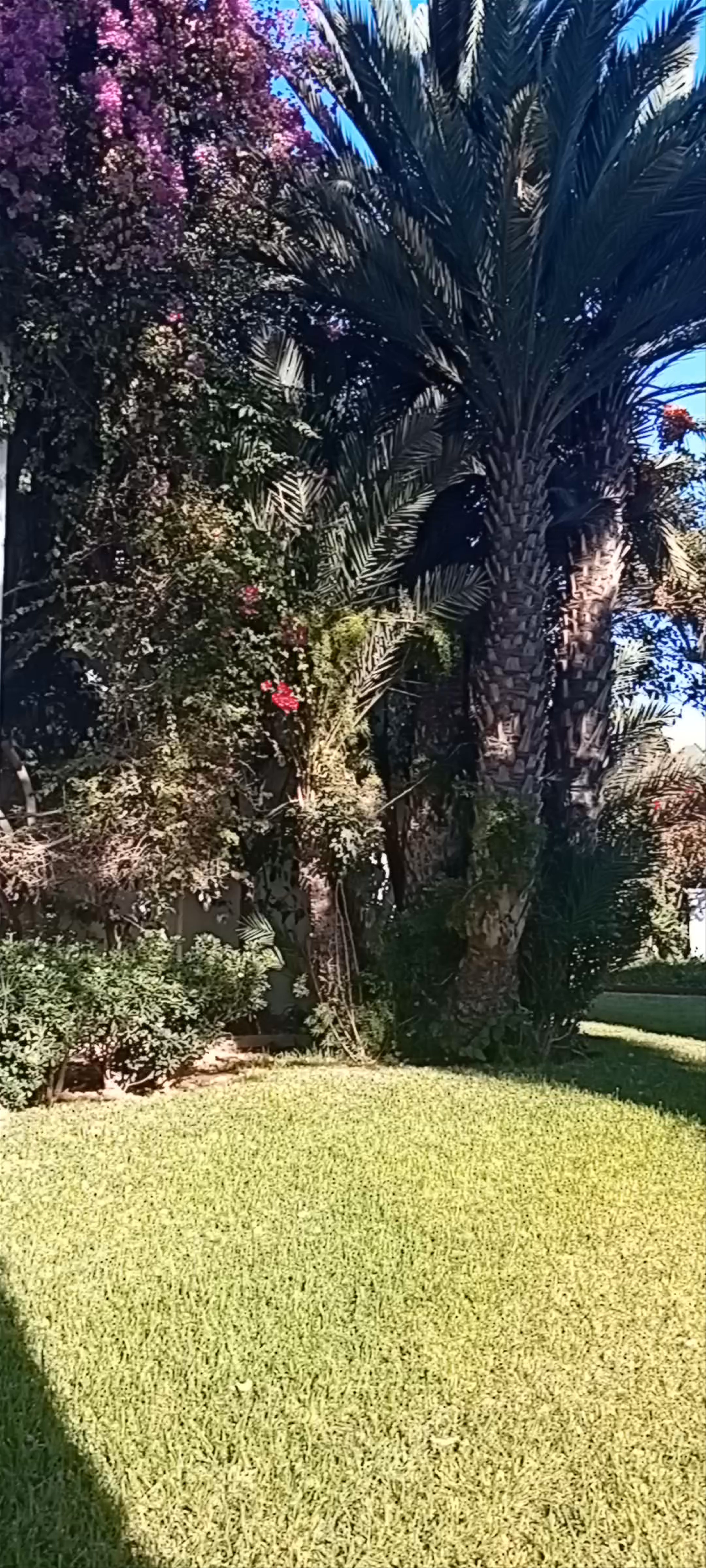 Valeria jardins d'Agadir Resort