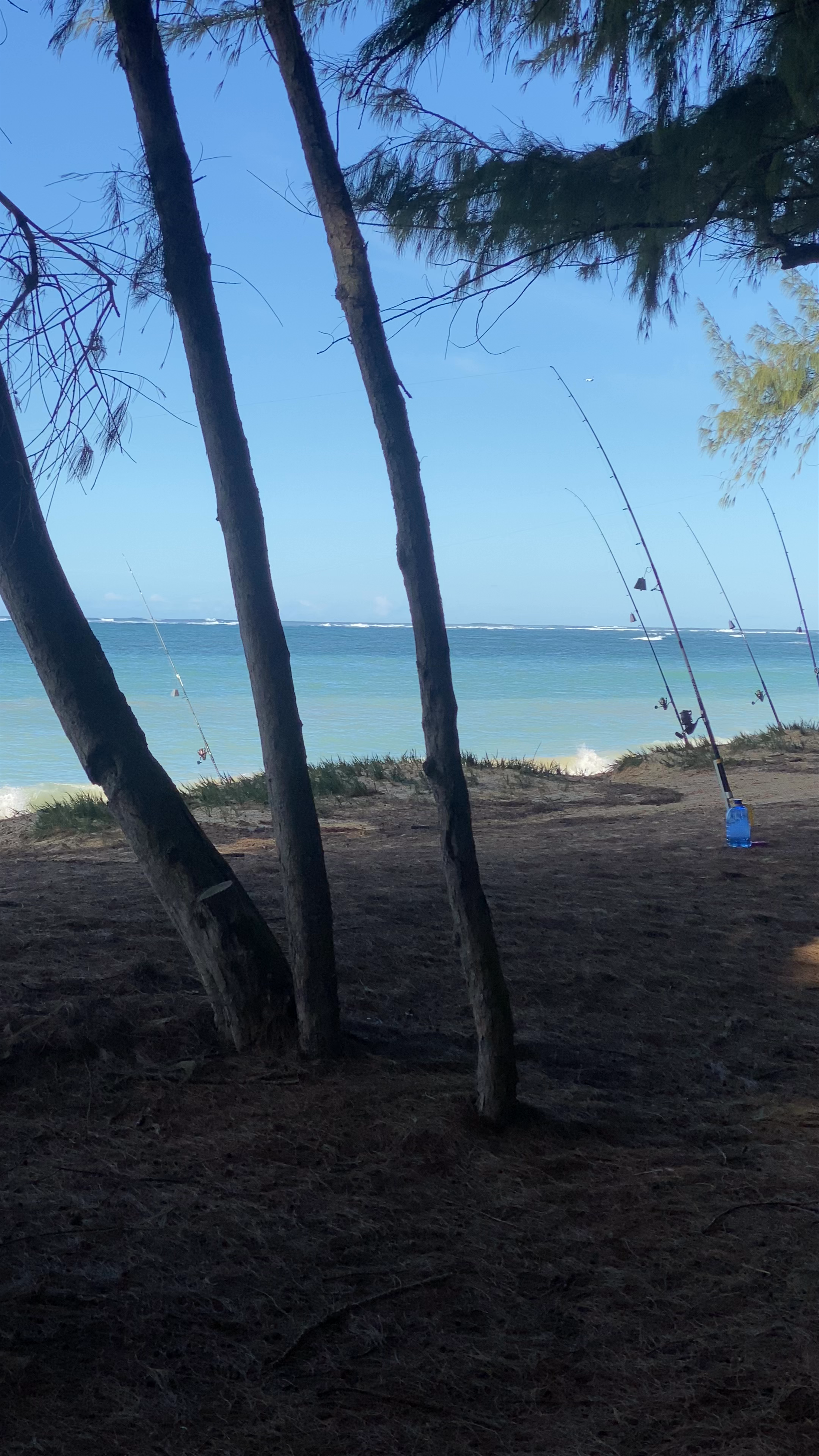 Kanaha Beach Park: Serene Coastal Escape in Kahului, Hawaii