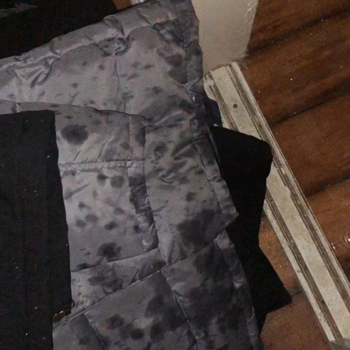 SD Property Management - There has been a leak in our apartment for three years and SD property management has not fix it. - Property Management Near Me - Van Nuys, California