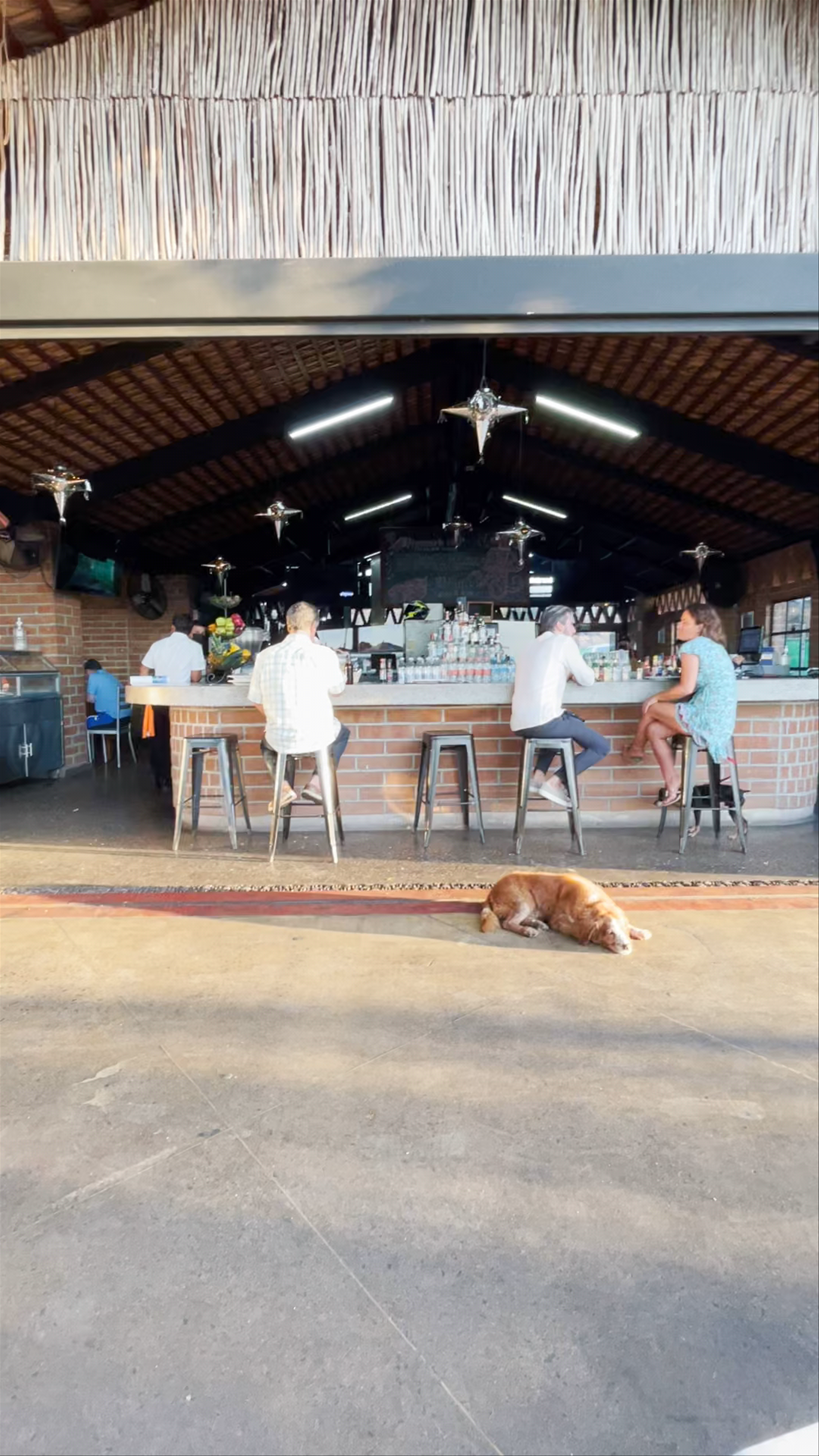 Relaxed Evenings at Bismarkcito Bar in La Paz