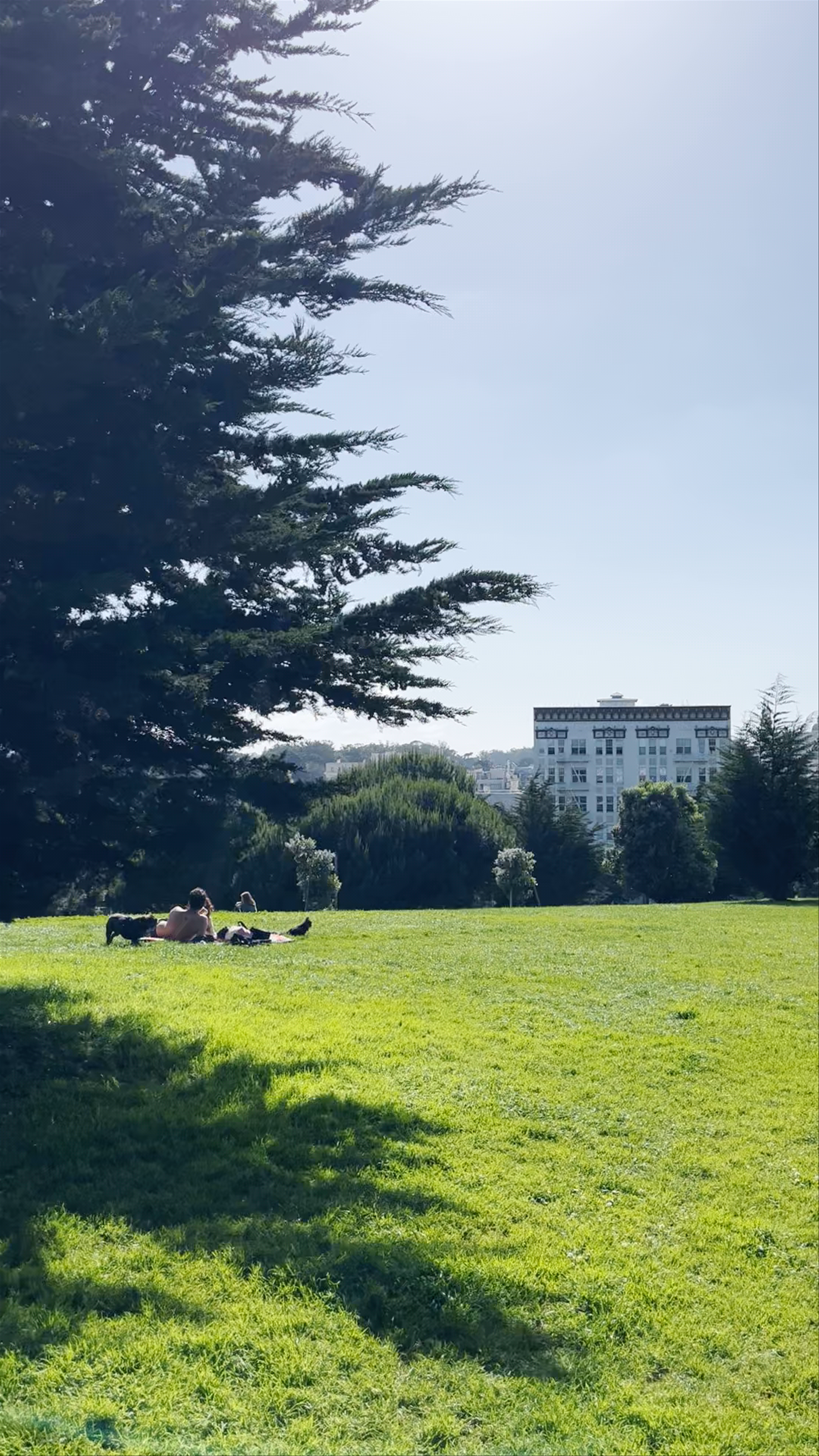 Alamo Square Park