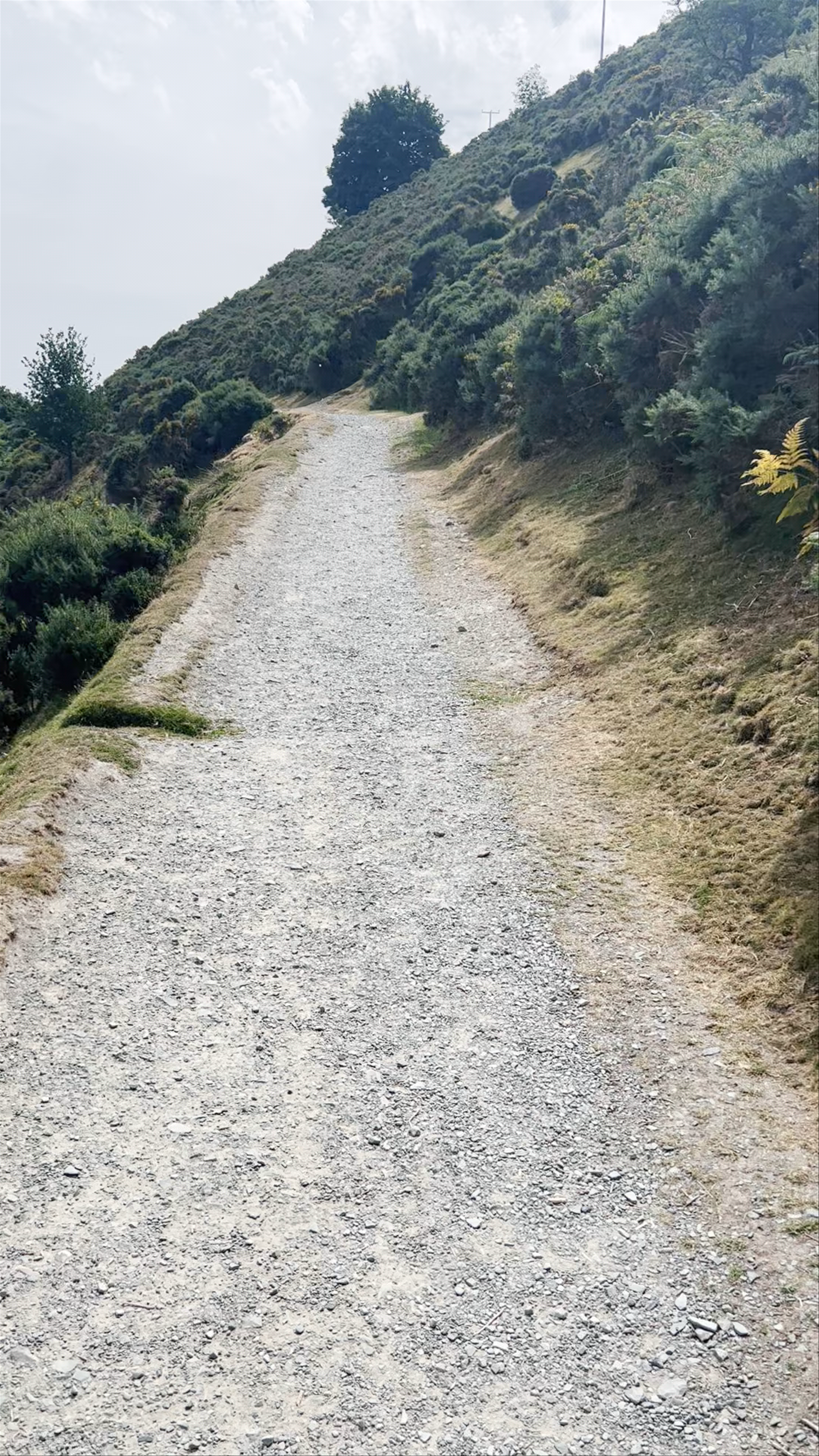 Long Mynd