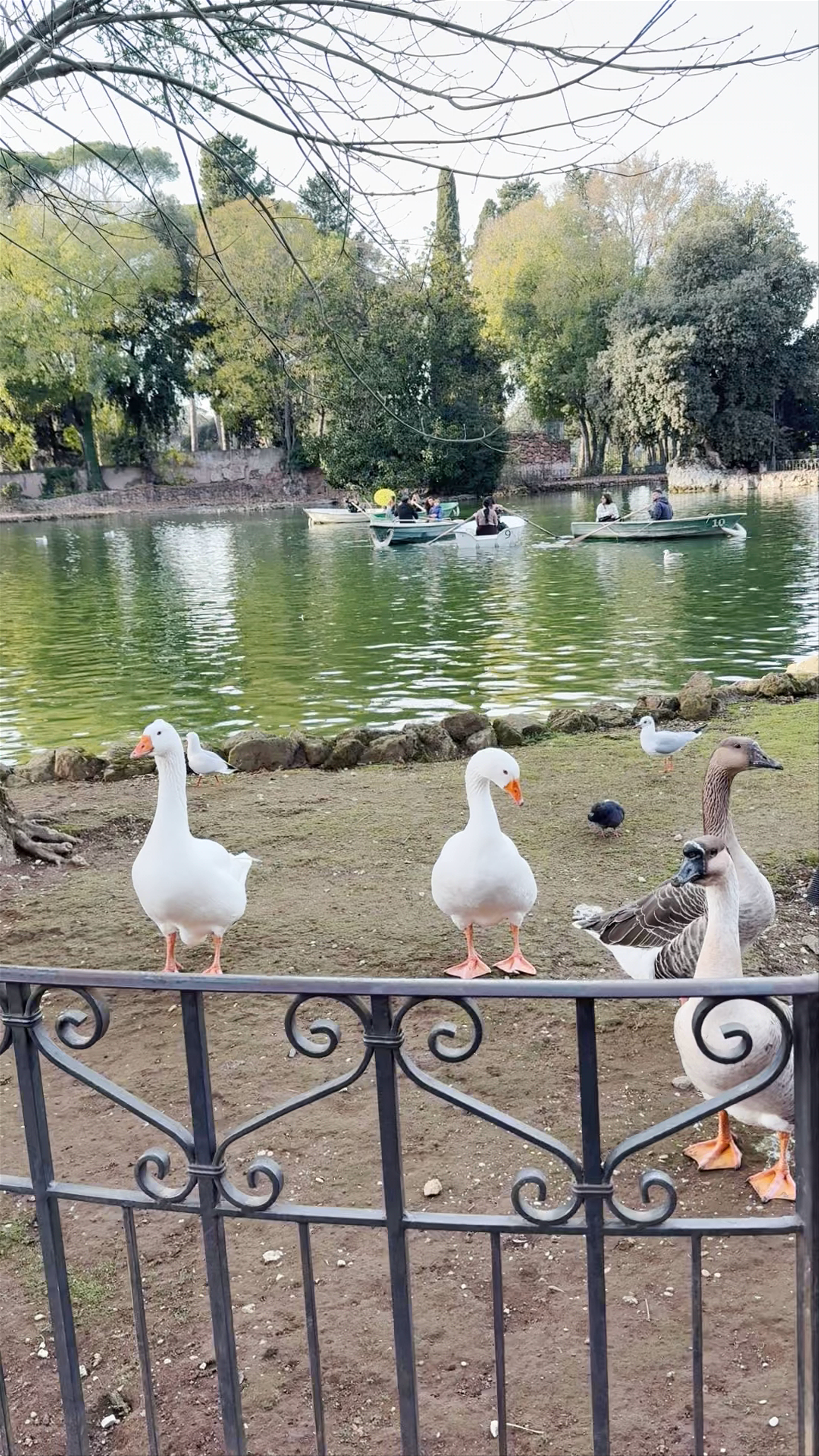 Villa Borghese