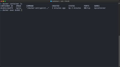 Execute a command in a container in Docker