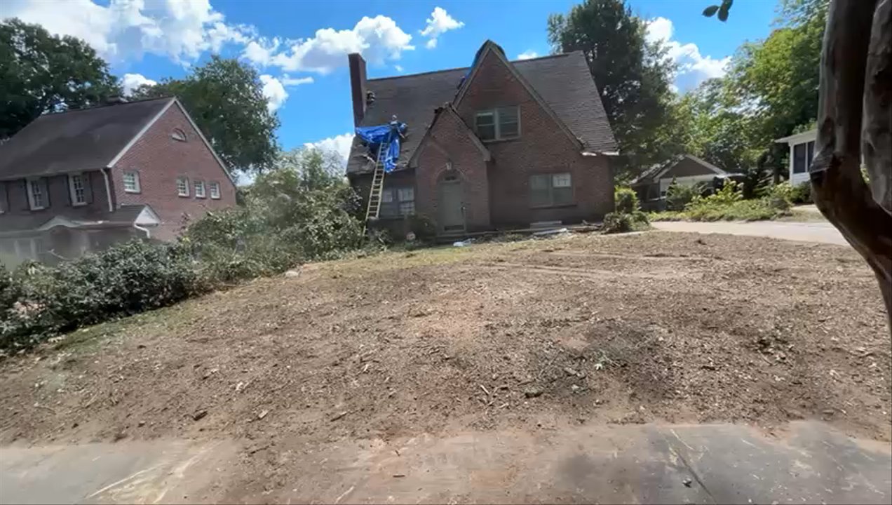 D&A Tree Service - Tree Services Near Me - High Point, North Carolina