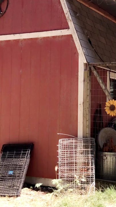 Salmon Creek Ranch - Farmers Market Near Me - Bodega Bay, California