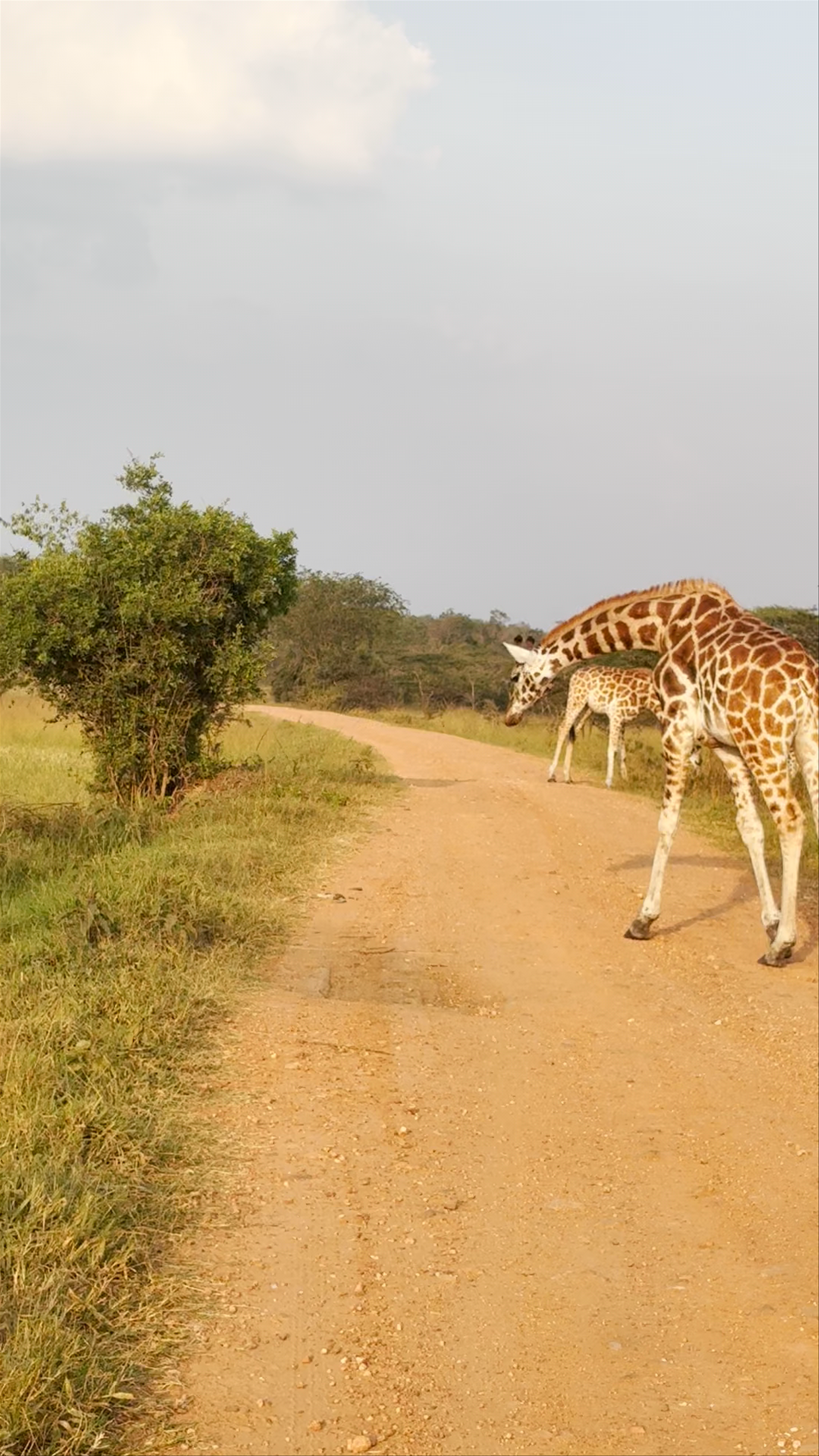 Lake Mburo National Park