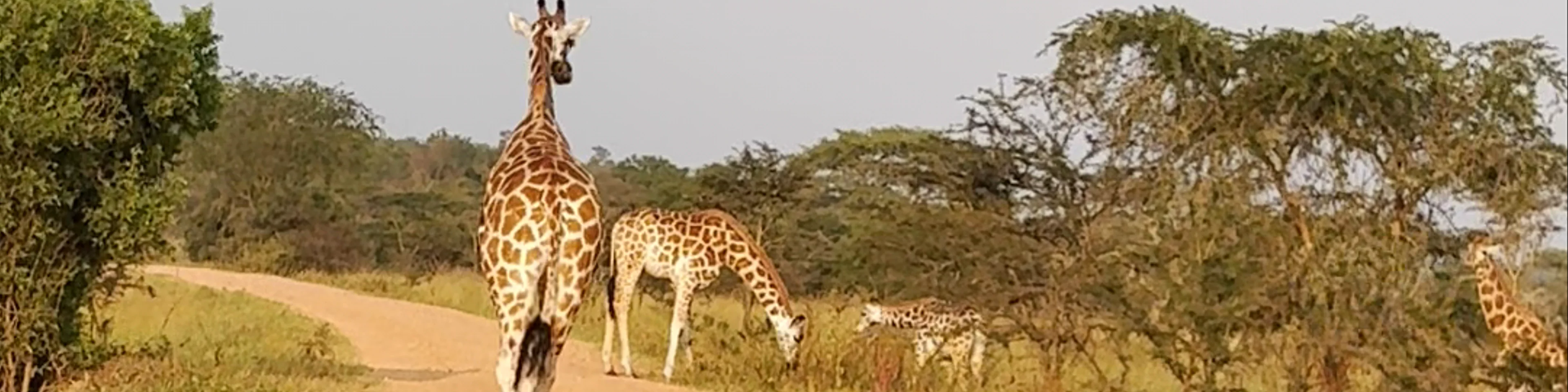 Lake Mburo National Park