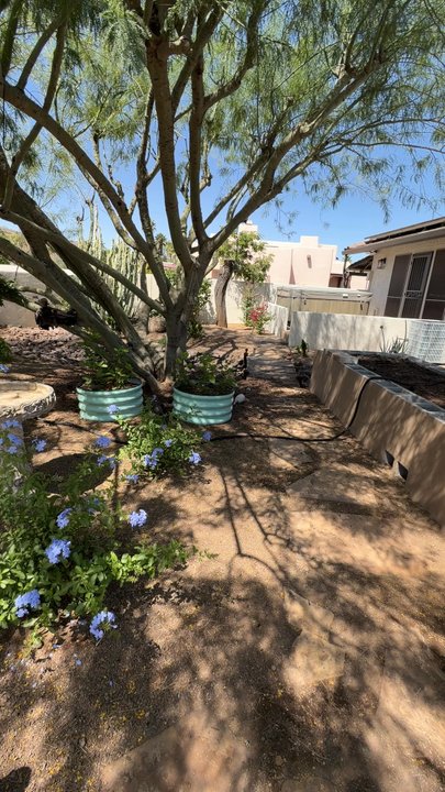 Moon Valley Nurseries - Nurseries & Gardening Near Me - Peoria, Arizona