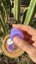Small image 5