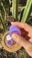 Small image 5