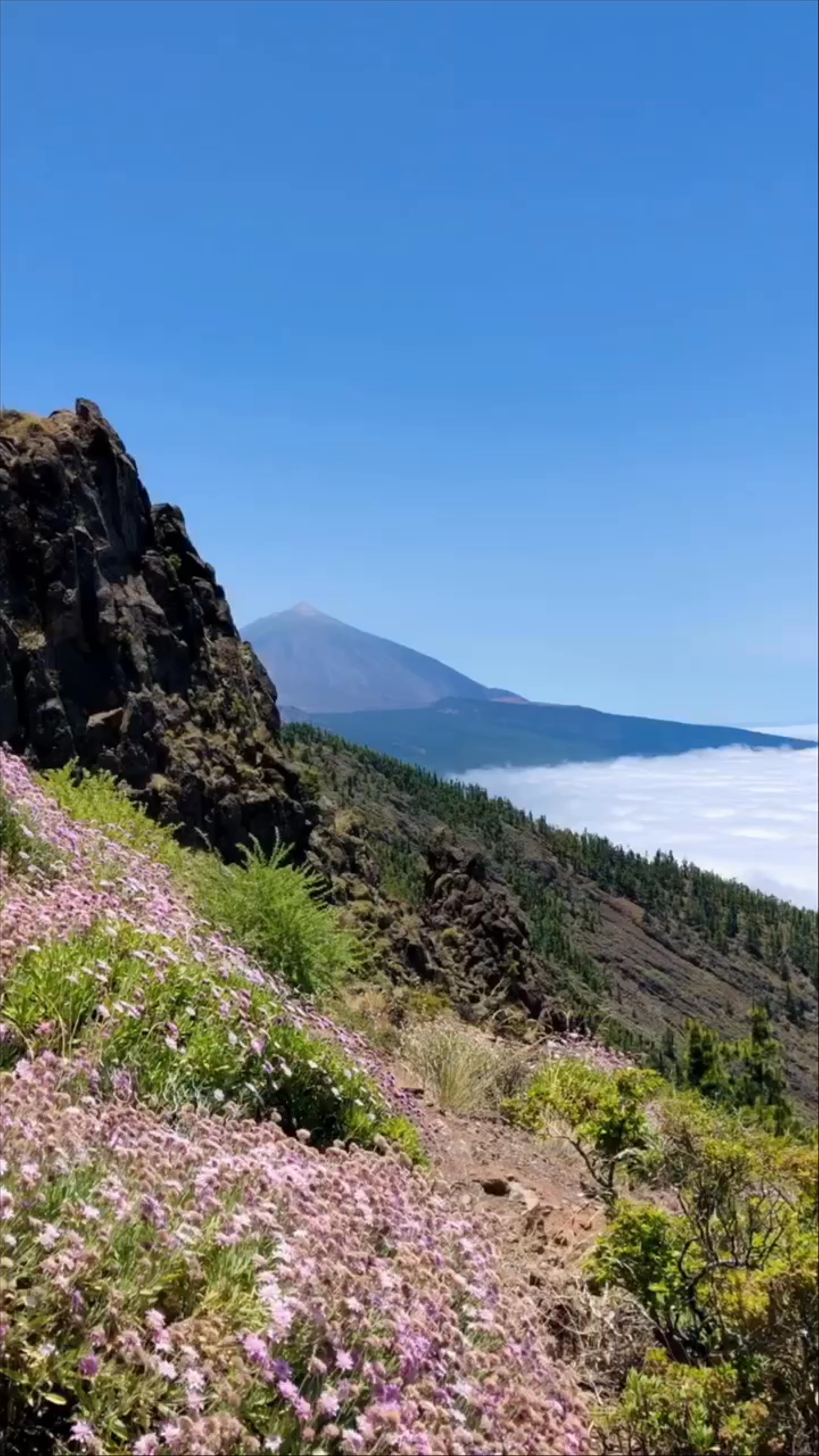 Teide National Park