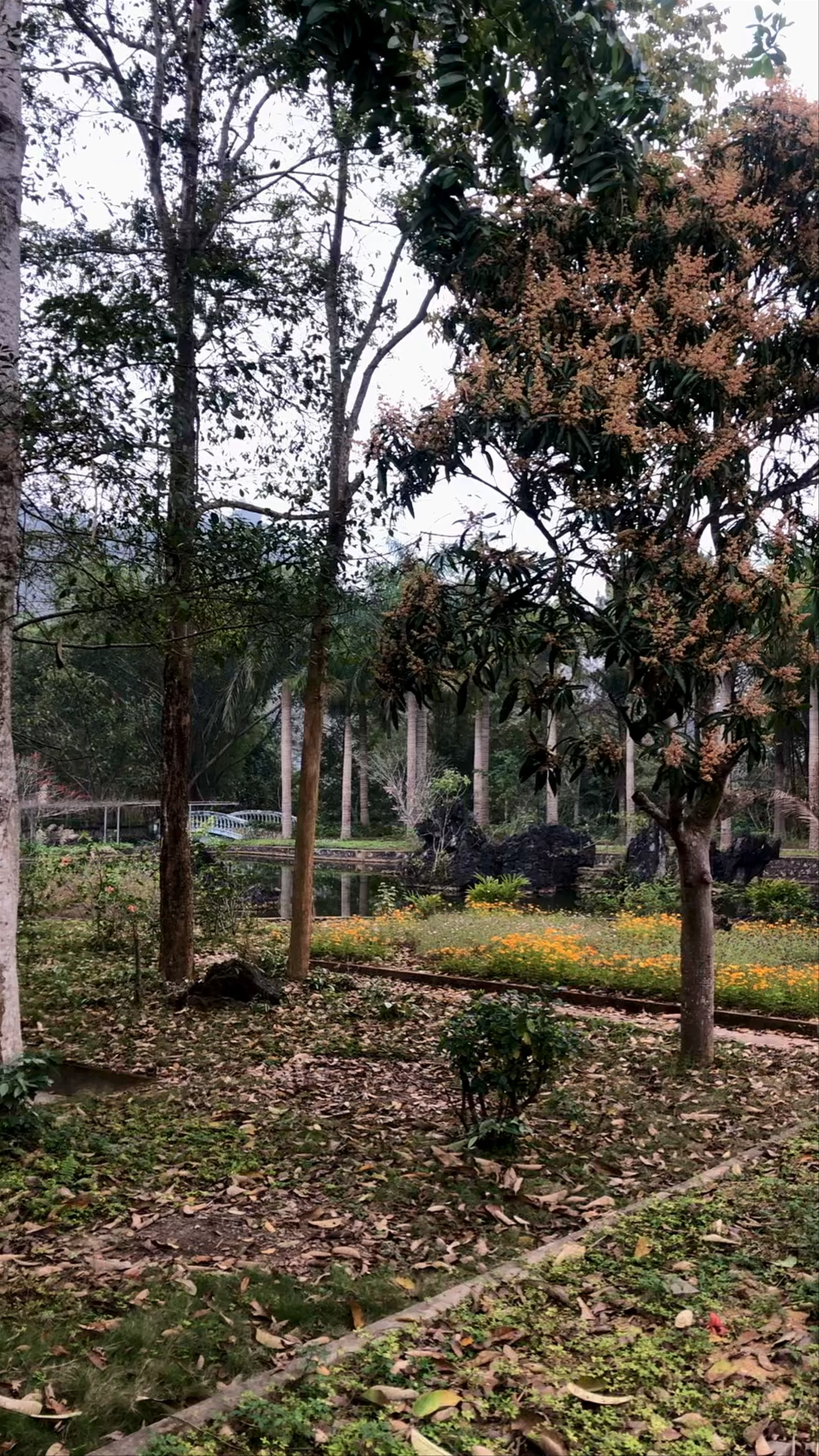 Thach Lam Vien Park