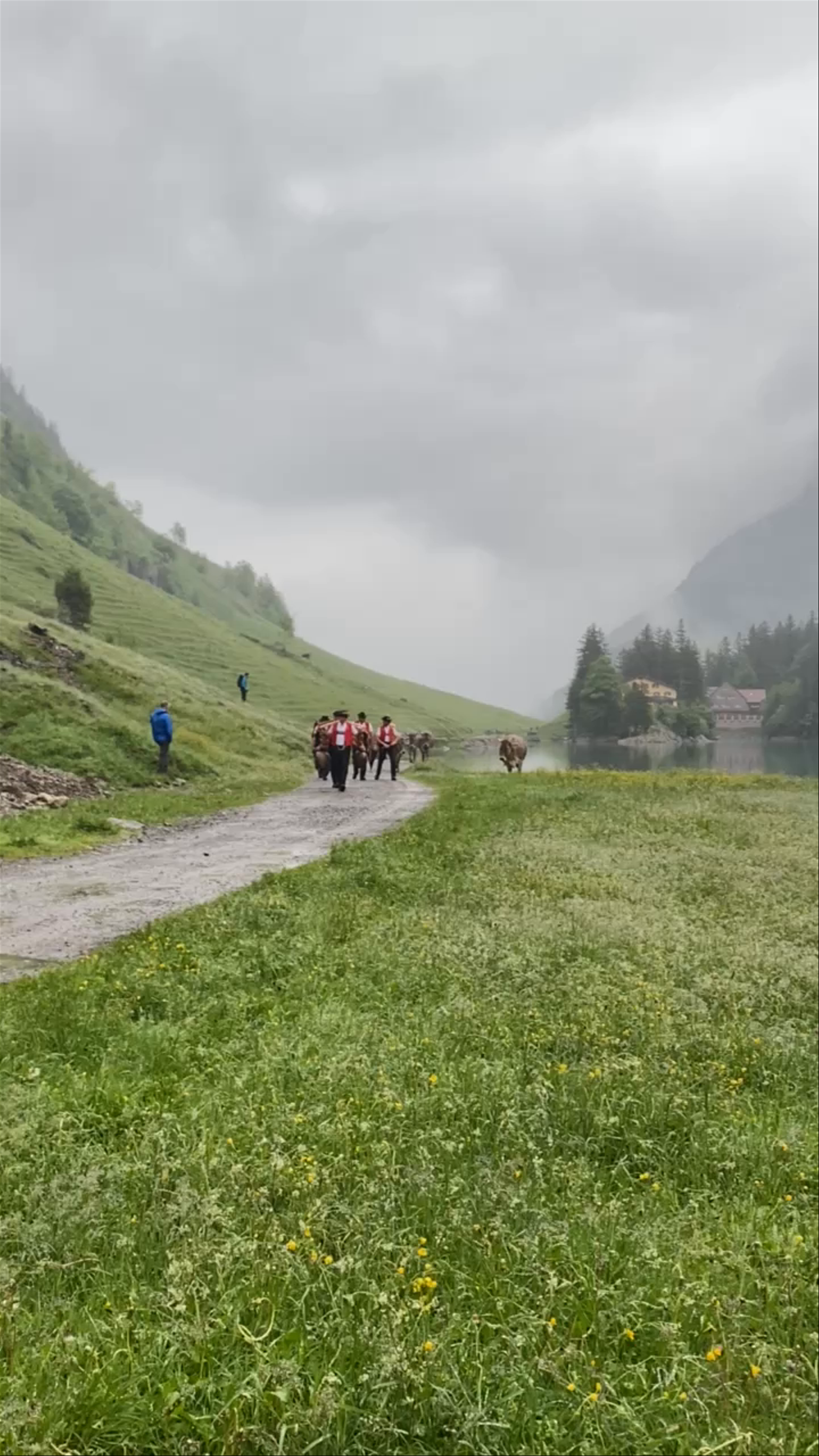 Traditional Swiss Alpine Descent at Seealpsee, Schwende-Rüte