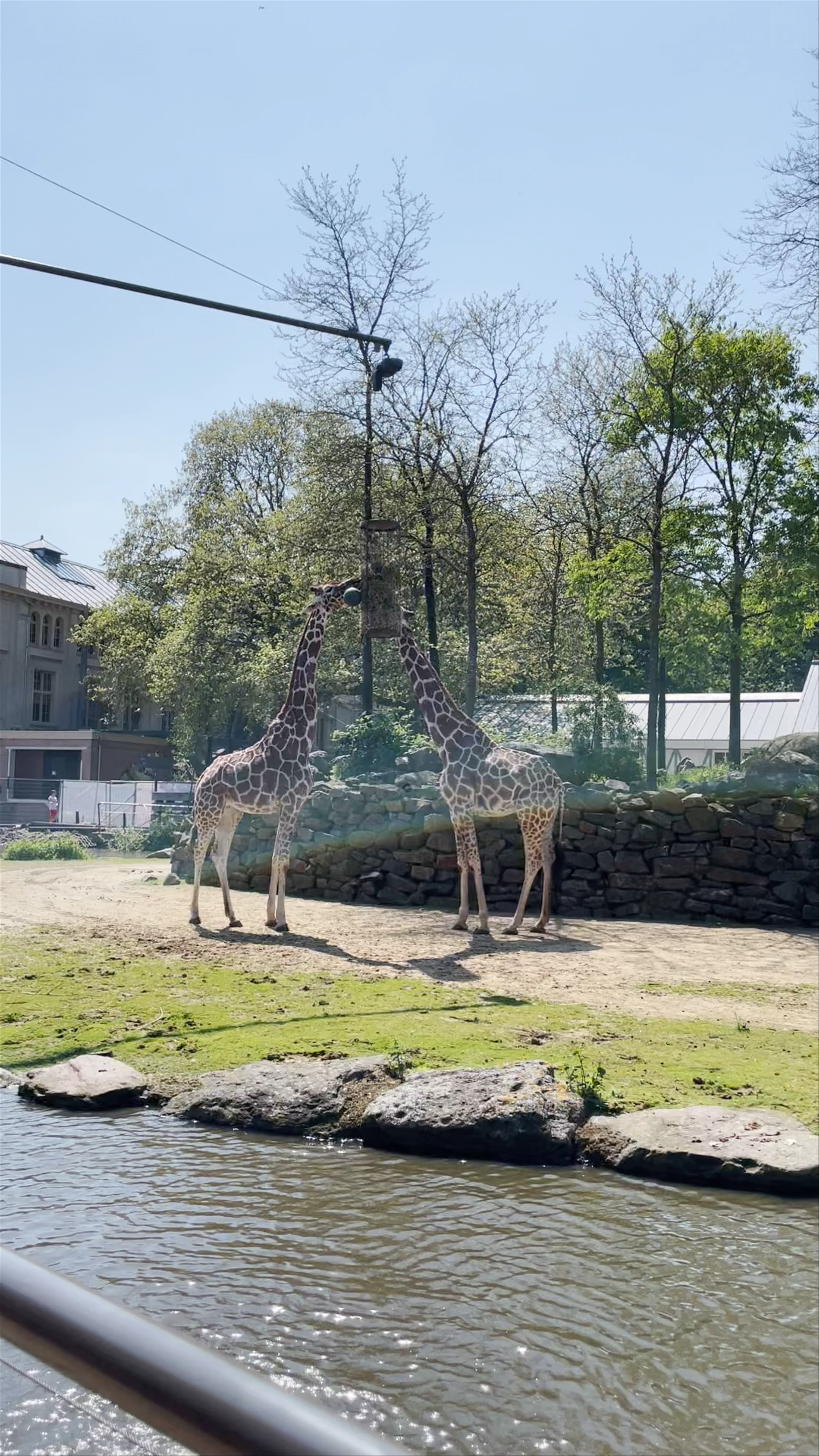 Artis Zoo, Plantage Kerklaan, Amsterdam, Netherlands