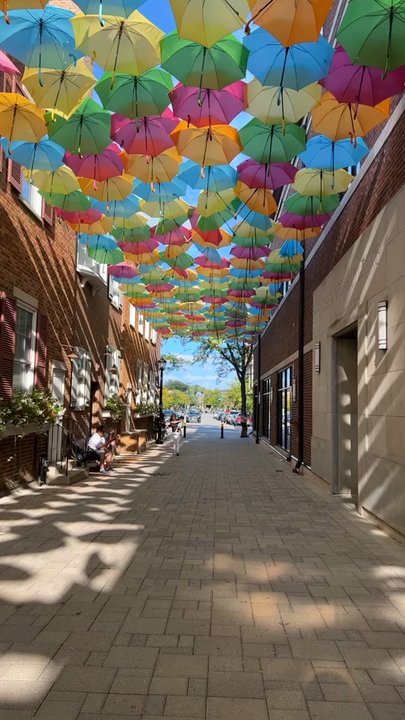 Umbrella Sky Project - Art Galleries Near Me - Elmhurst, Illinois