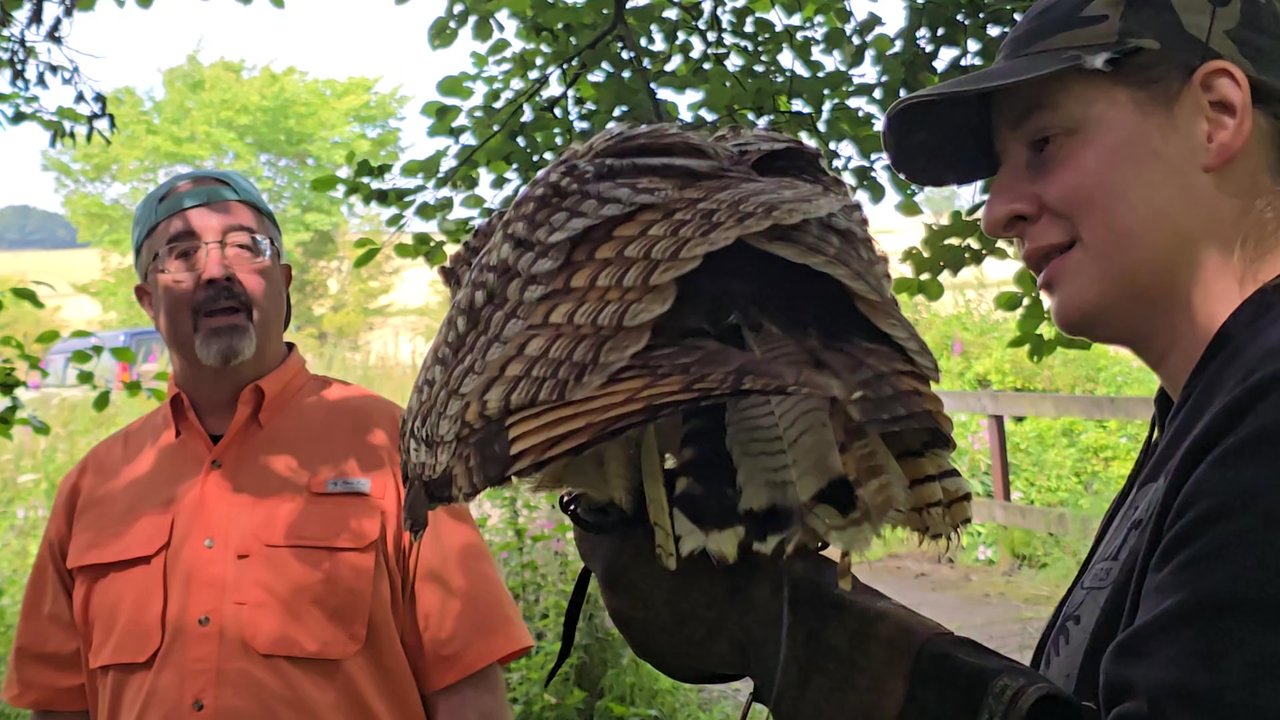 Elite Falconry - Pest Control Near Me - Kirkcaldy, FIF