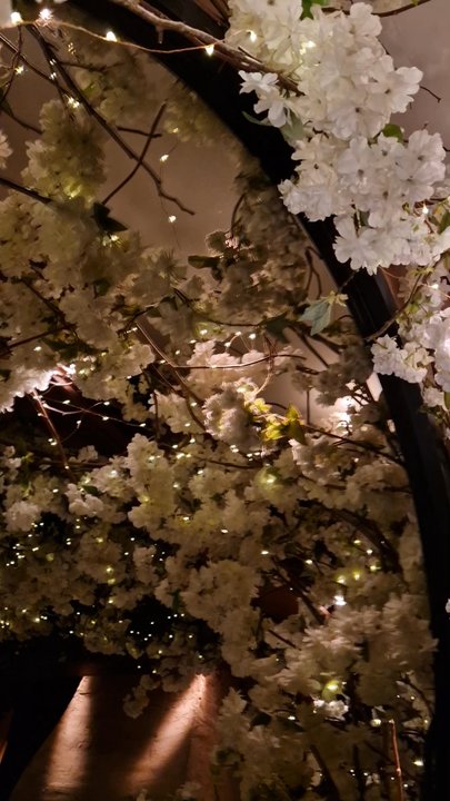 Clos Maggiore - French Near Me - London, XGL
