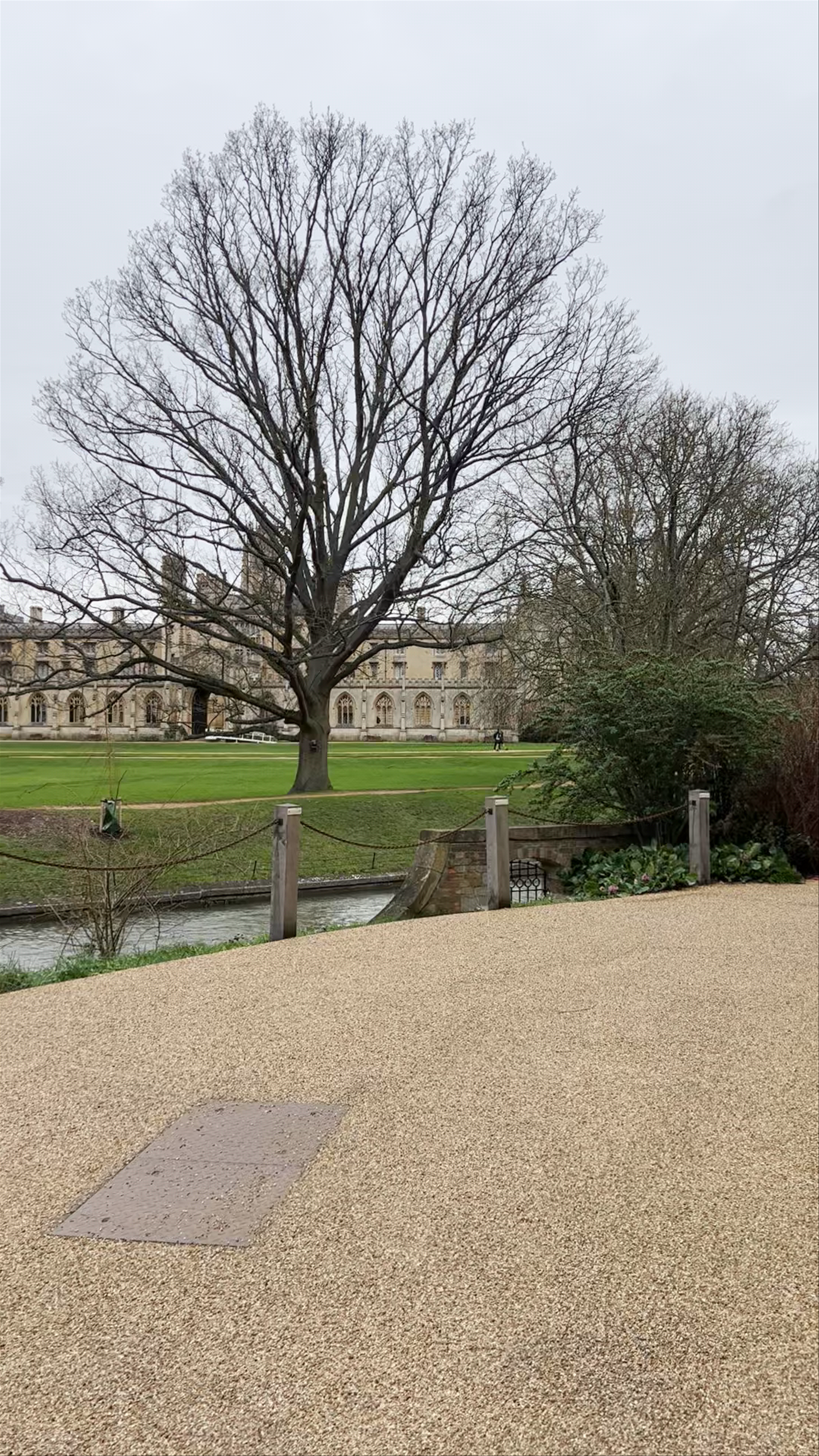 Wren Library