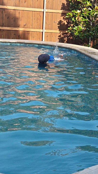 Mansfield Swim Stars - Swimming Lessons/Schools Near Me - Mansfield, Texas