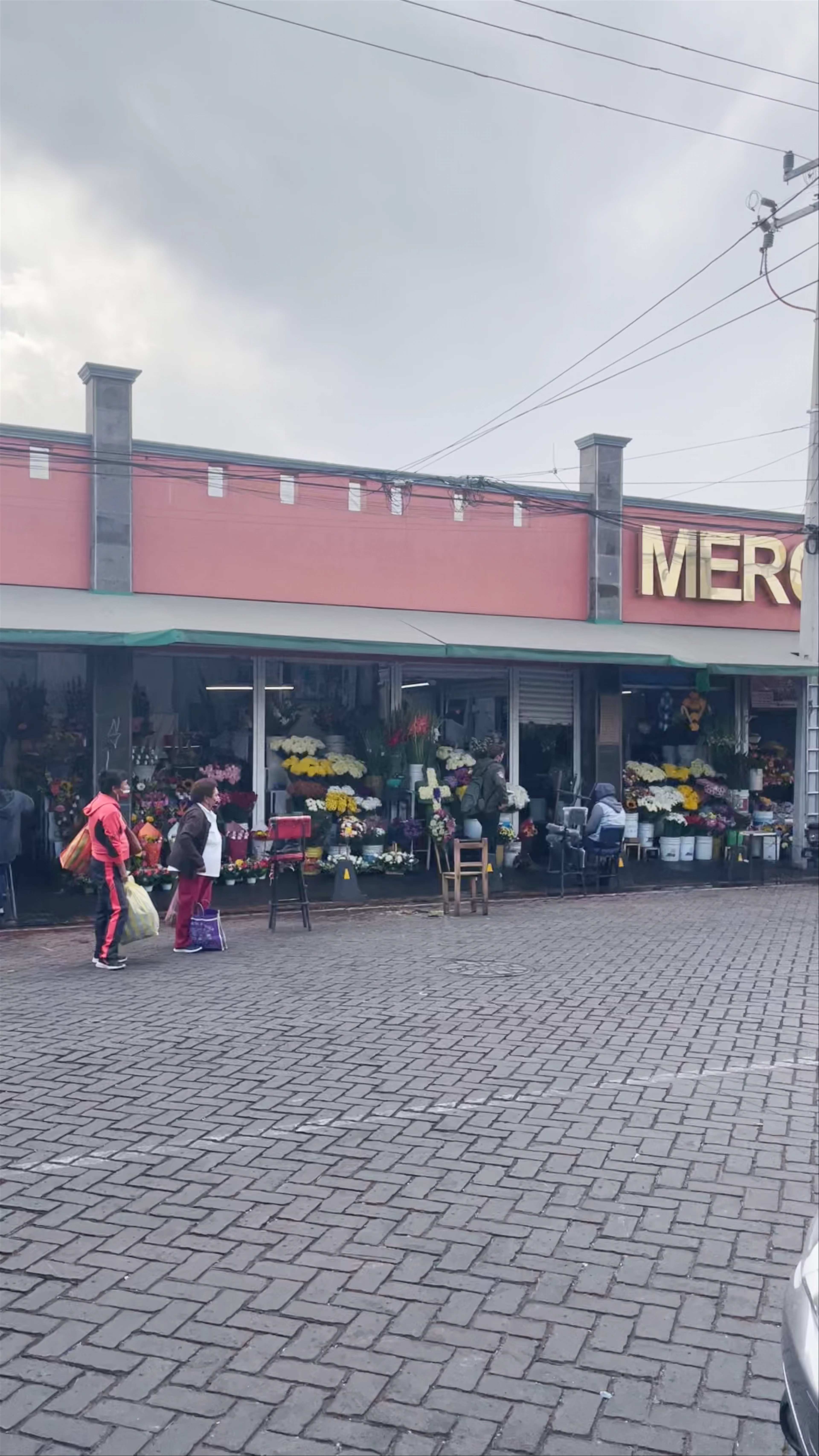 Mercado de Xochimilco, Avenida Nuevo León, Santa Crucita, Mexico City, CDMX, Mexico