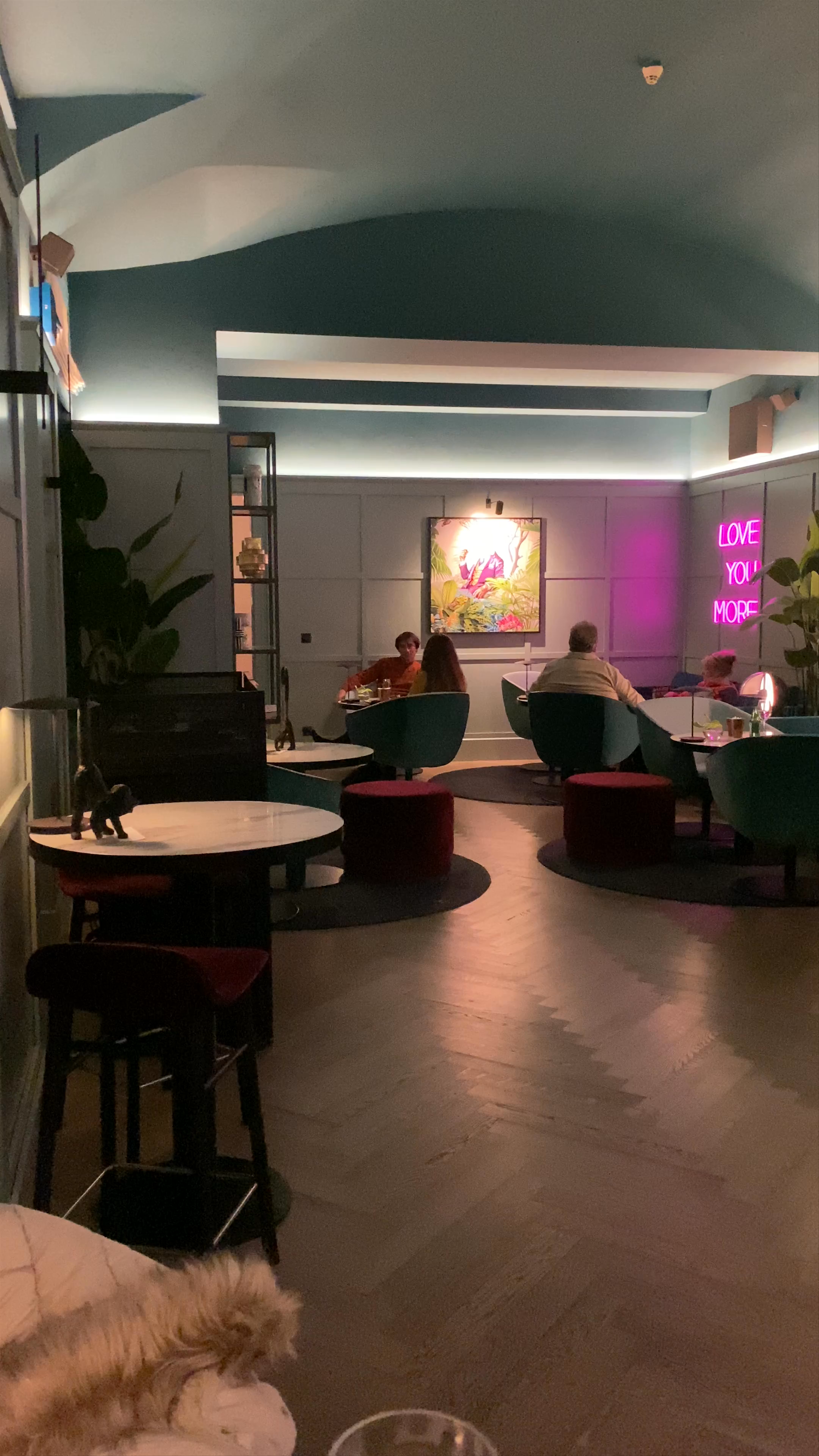 The Monkey Bar Prague: Intimate Evening in New Town