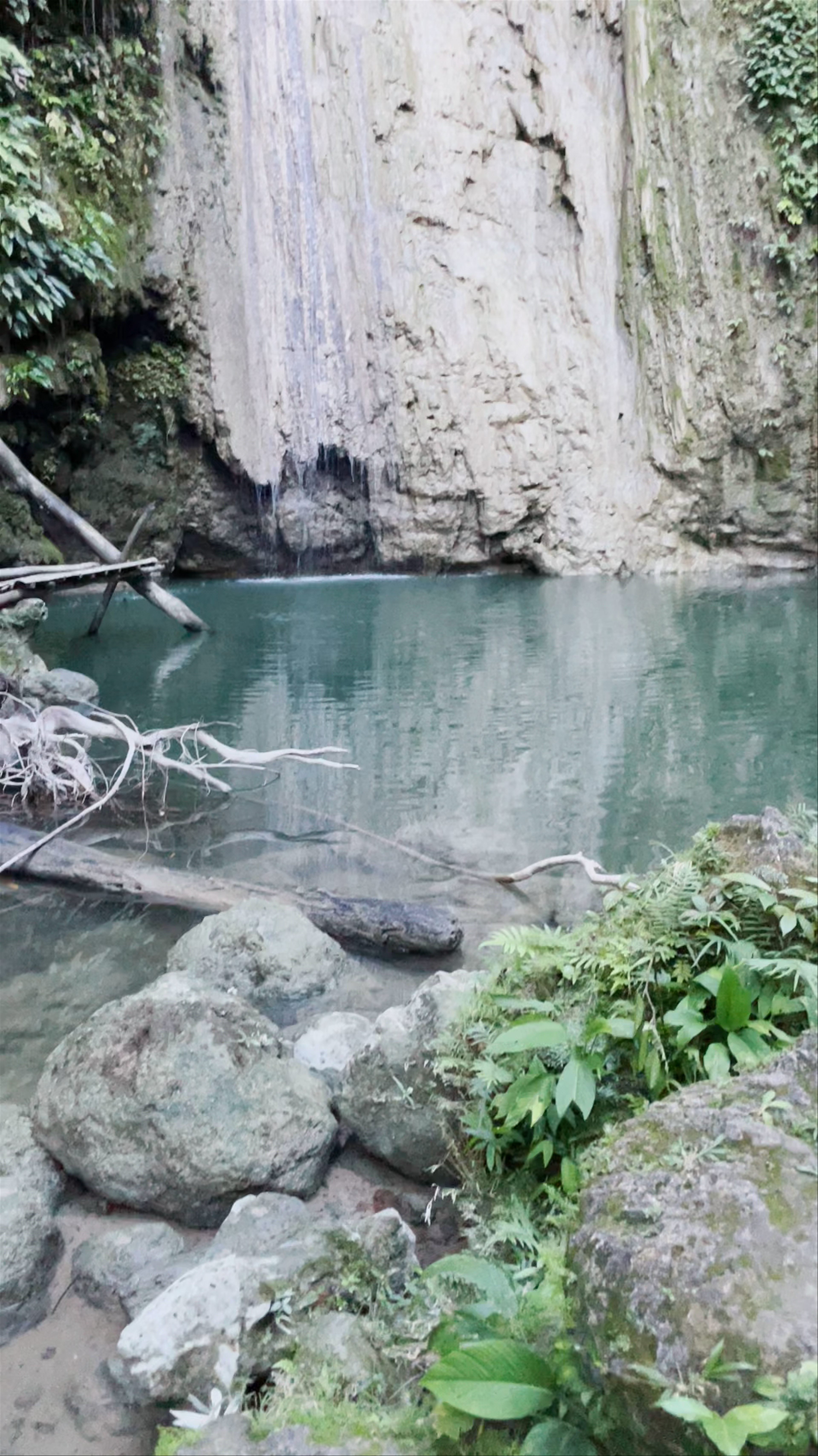 Cangbangag Falls: A Hidden Tropical Waterfall Gem in Siquijor, Philippines