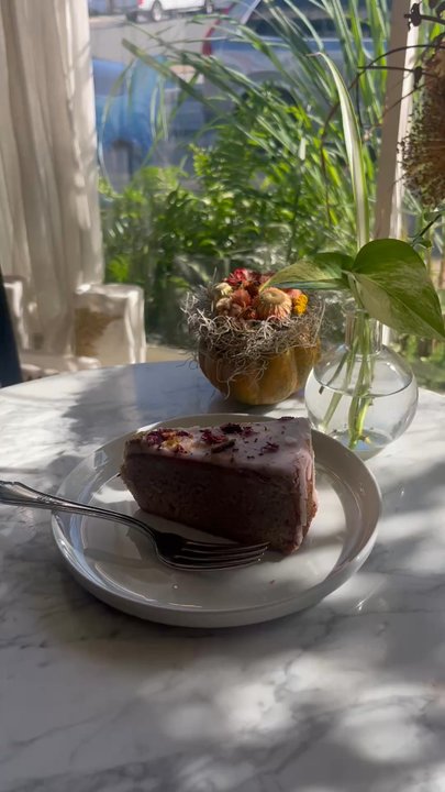 APOTHEC - Cake - Herbal Shops Near Me - Richmond, Virginia