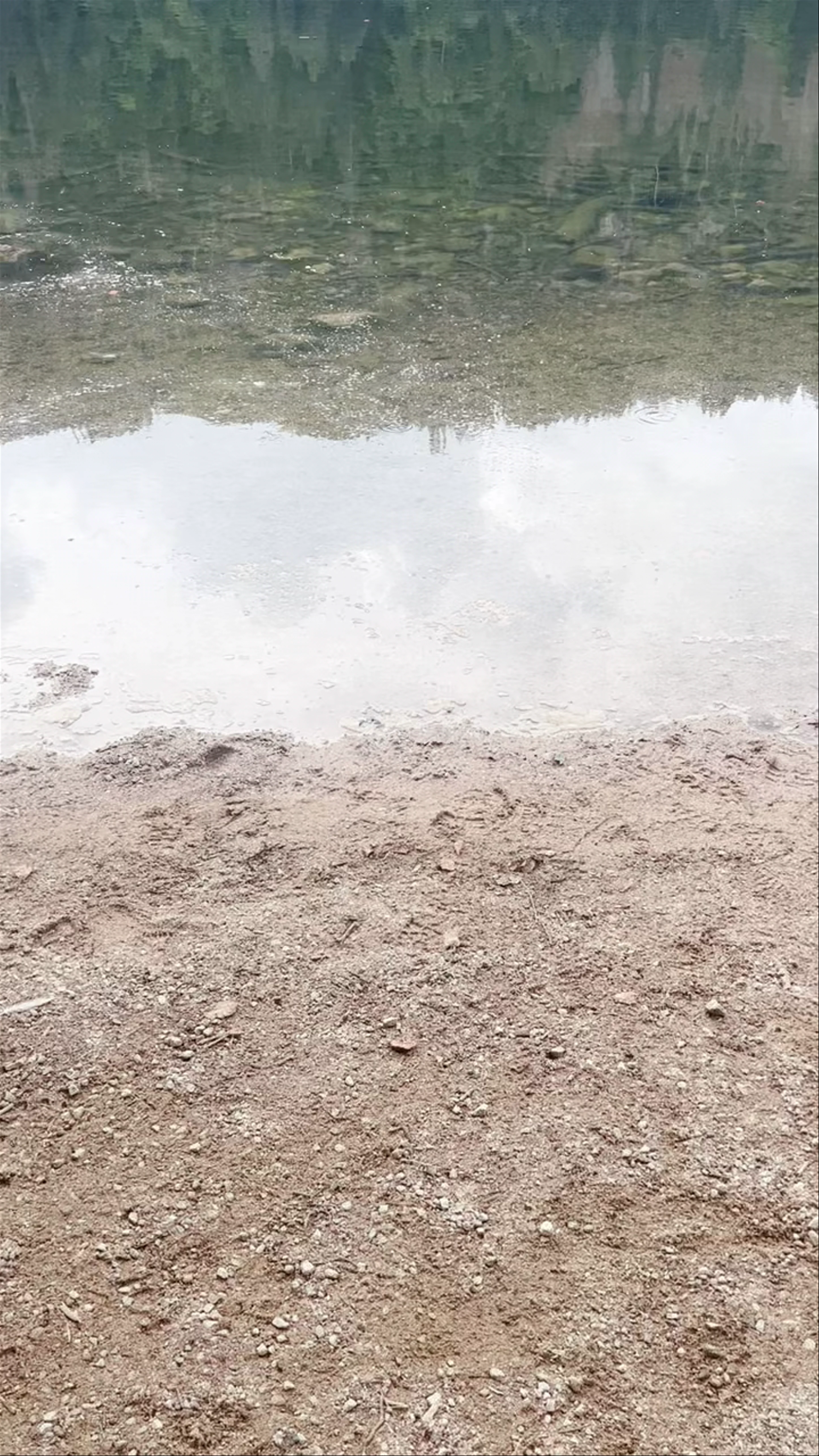 Feldsee