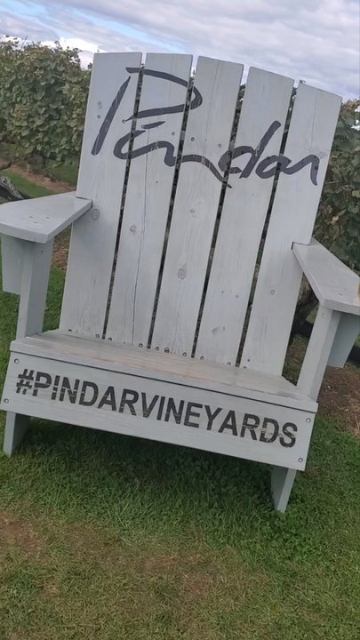 Pindar Vineyards - Photo shoot - Wineries Near Me - Peconic, New York