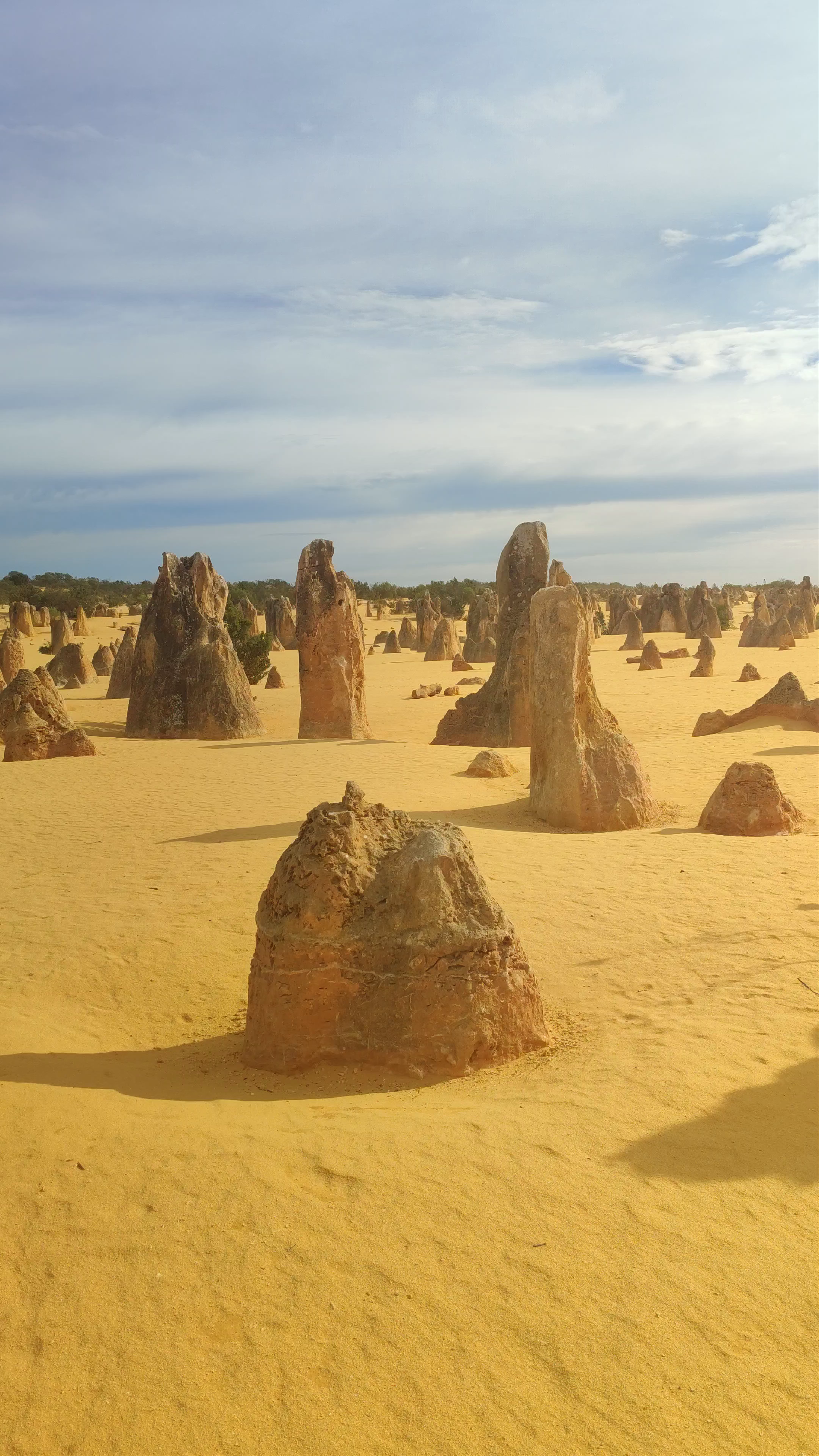 The Pinnacles Desert