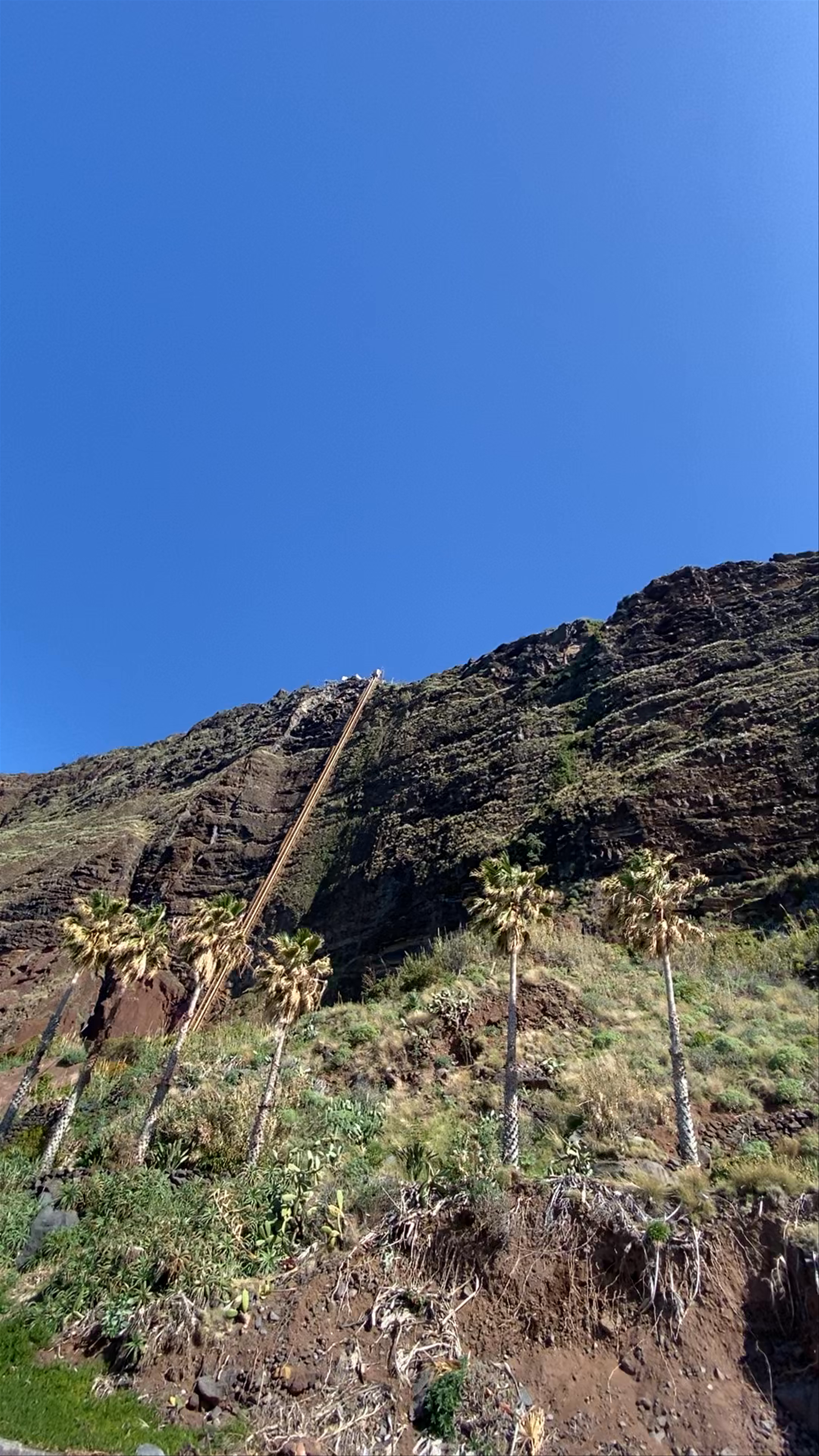 Fajã dos Padres: Hidden Coastal Gem in Madeira's Quinta Grande