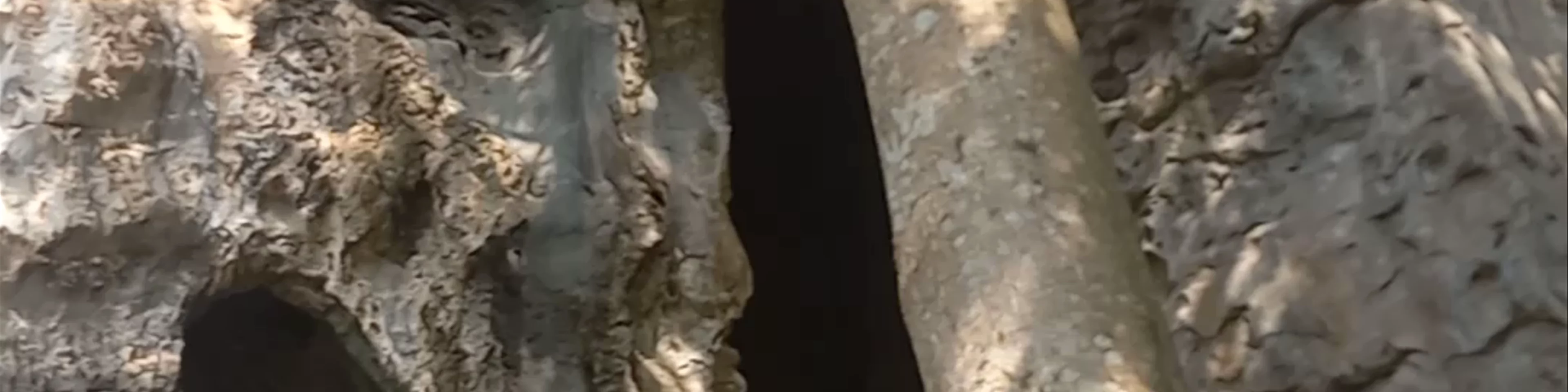 Phnom Kbal Romeas
