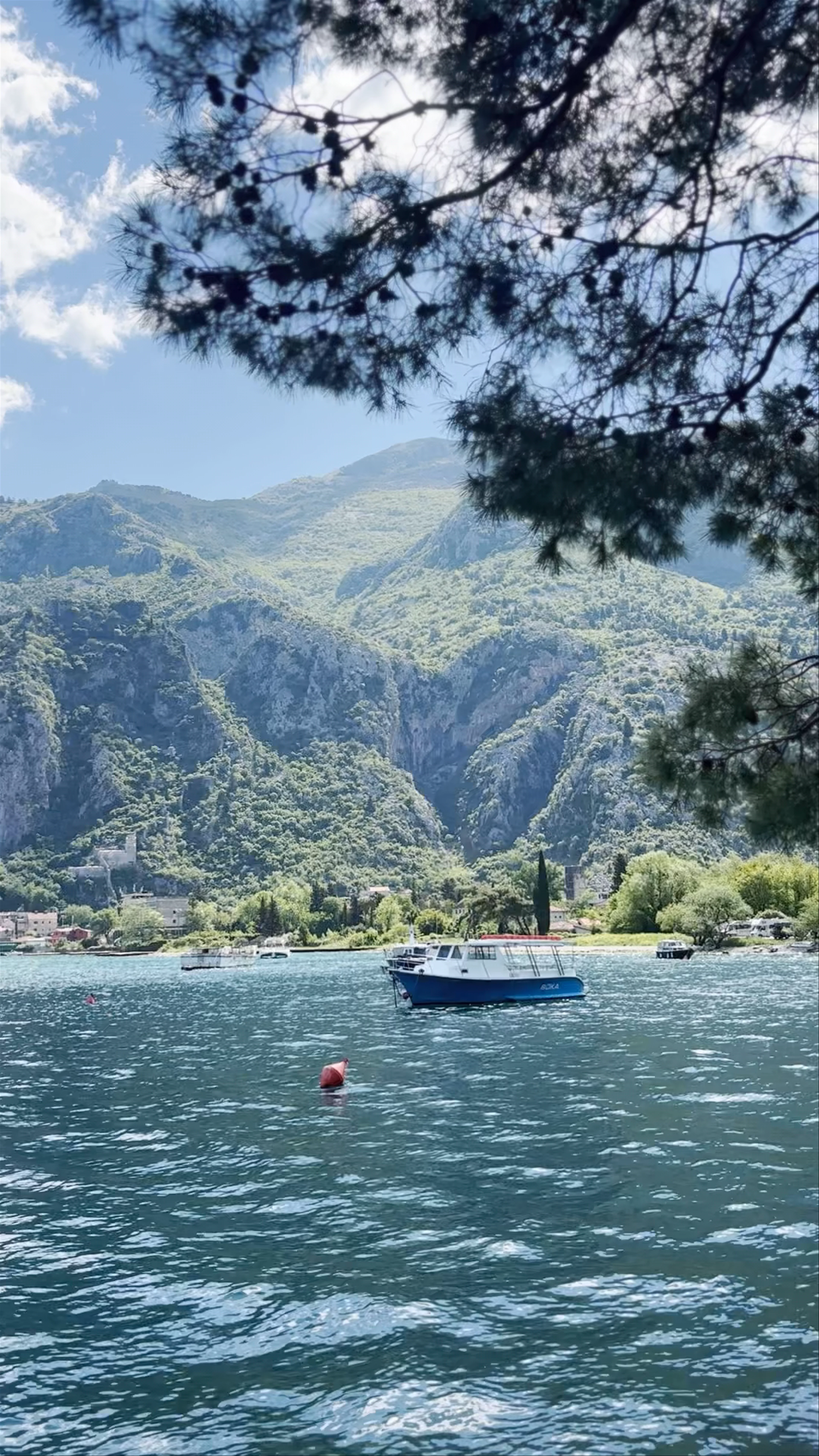 Kotor