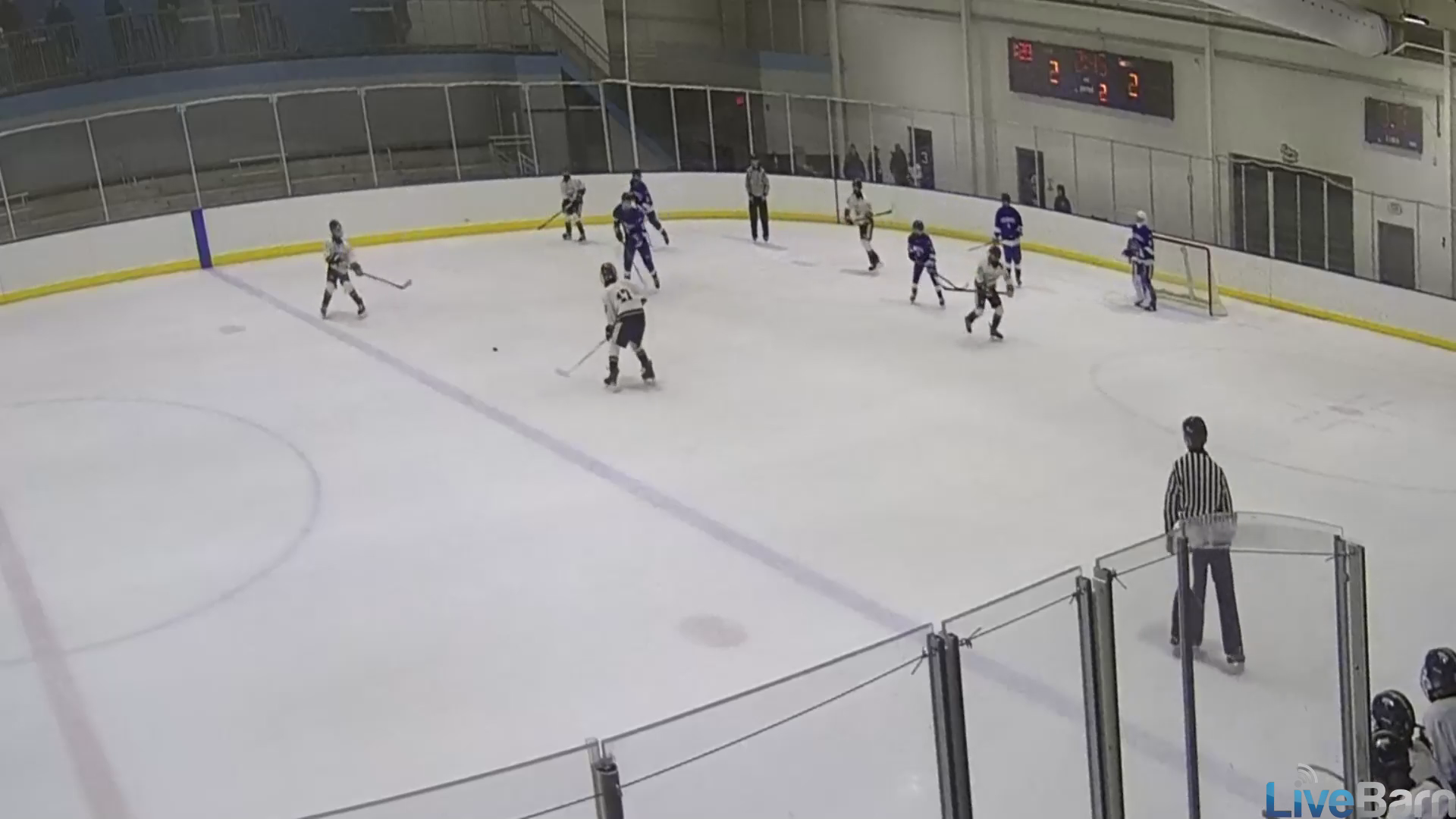 Brian Kirkpatrick: North Jersey Avalanche 13U AAA Offensive Highlights PP Goal vs Colorado Rampage