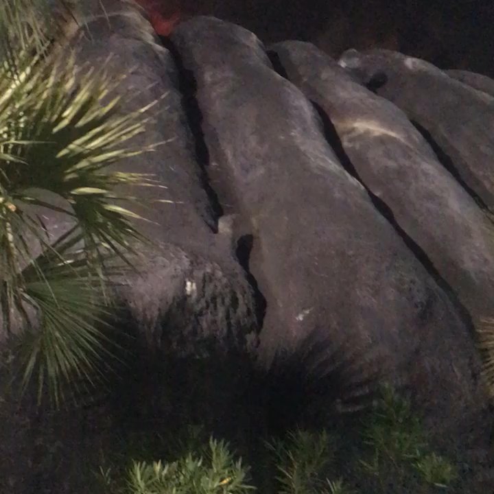 Molten Mountain - Mini Golf Near Me - North Myrtle Beach, South Carolina