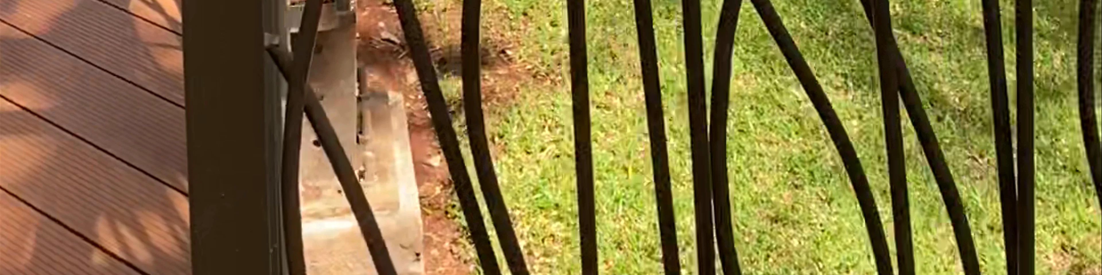 Giraffe Centre