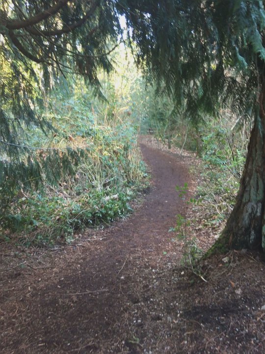 Weowna Park - Parks Near Me - Bellevue, Washington