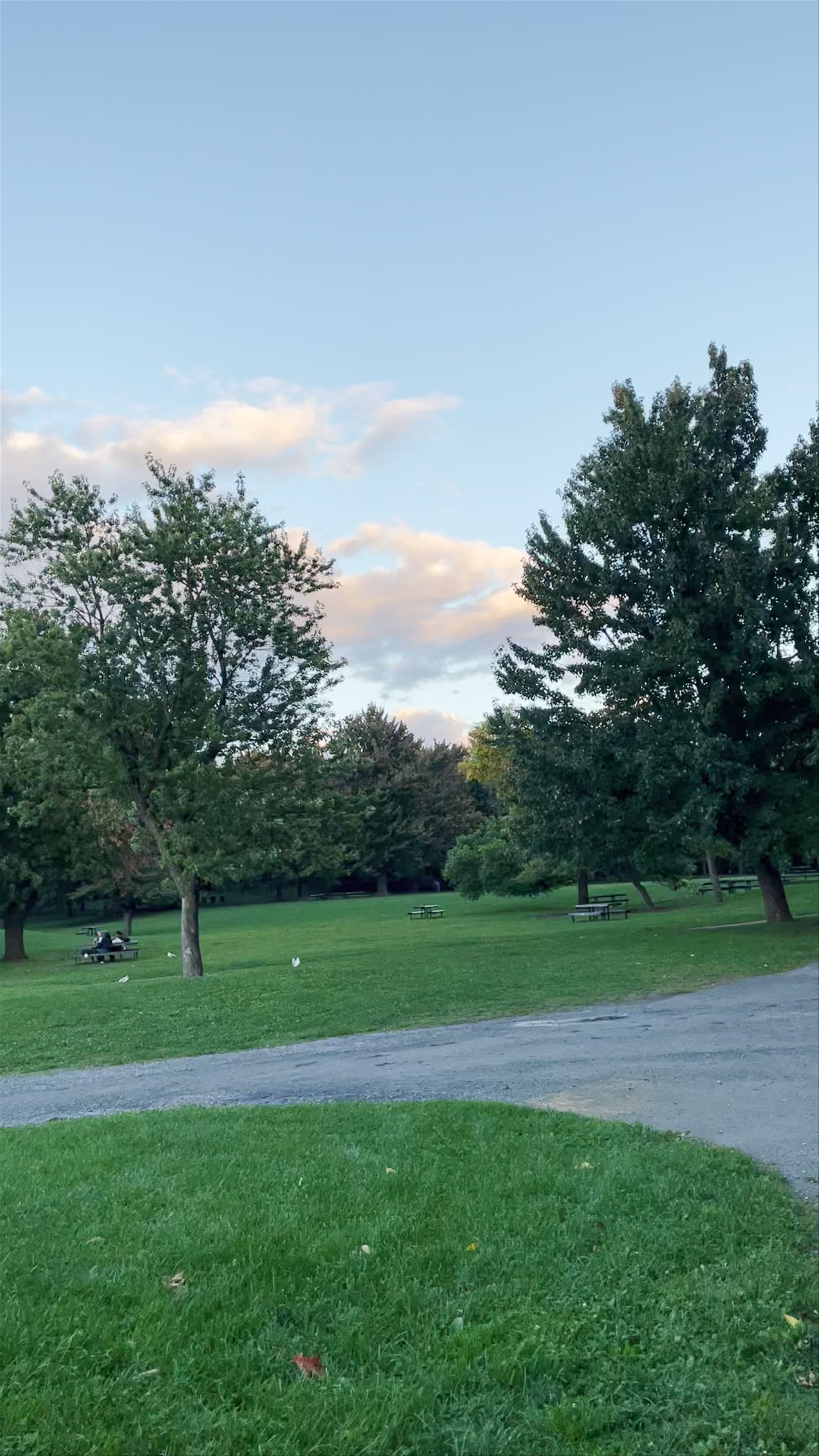 Beaver Lake Serenity: Peaceful Nature Escape in Montreal