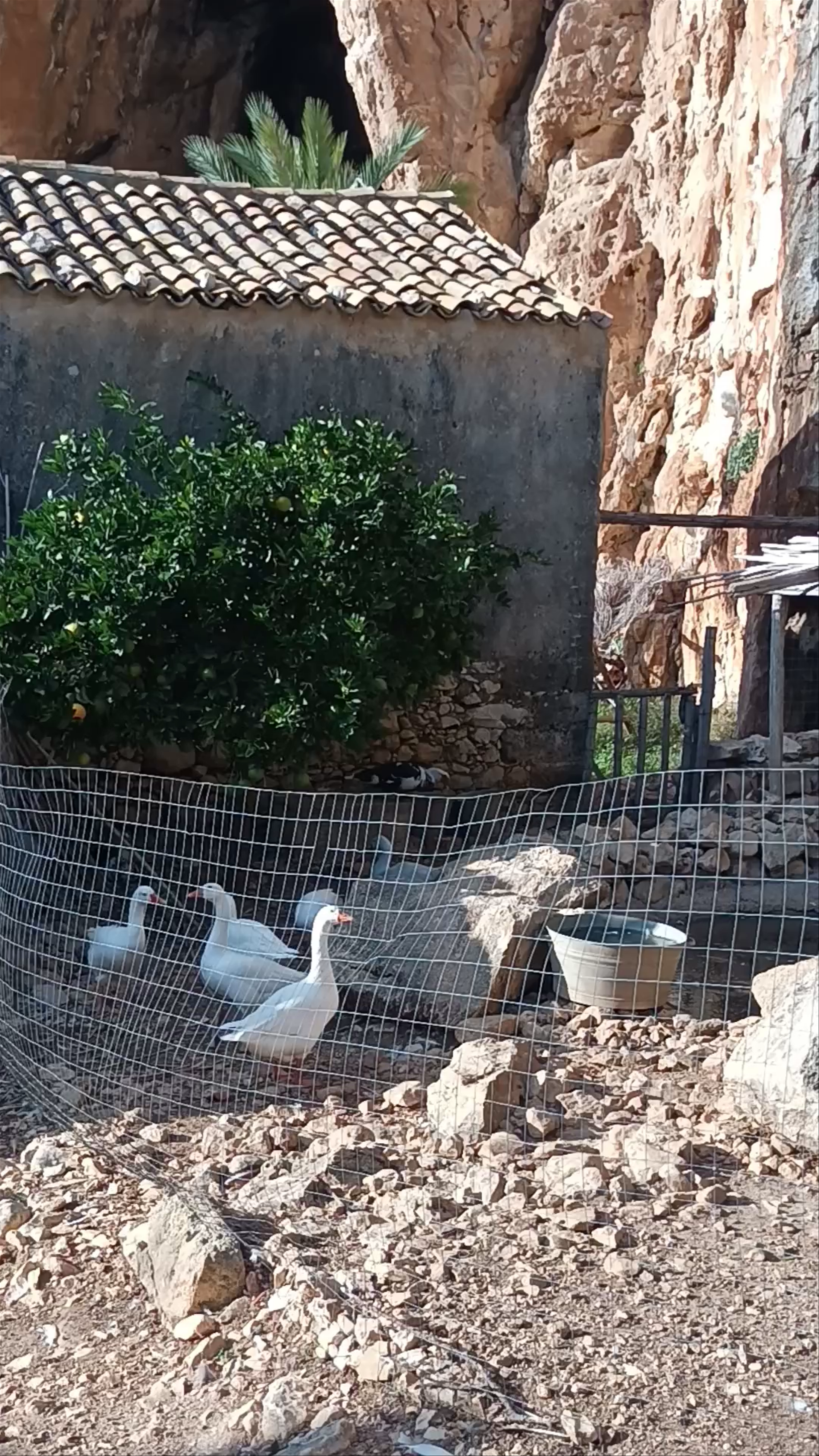 Grotta Mangiapane