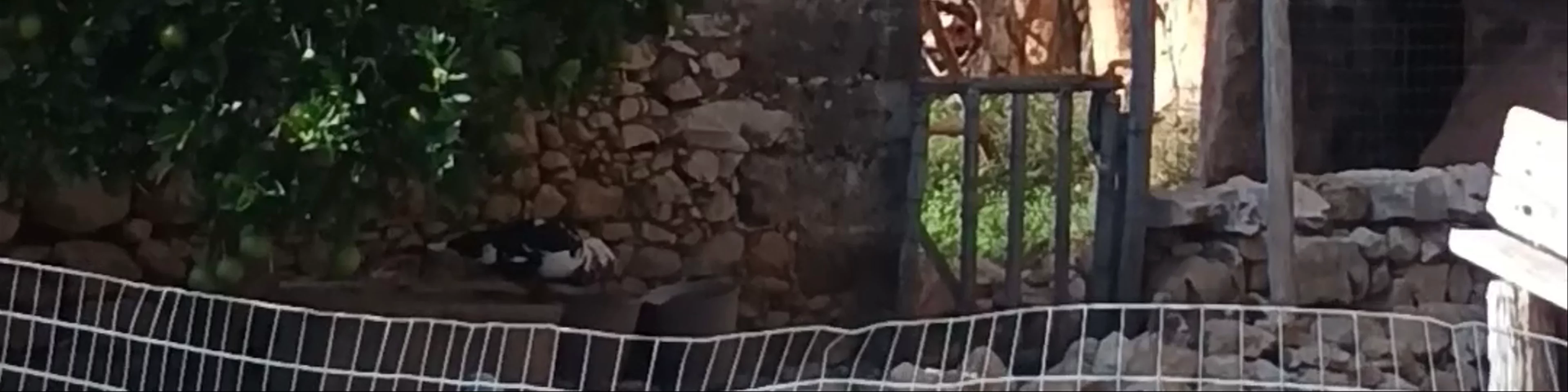Grotta Mangiapane