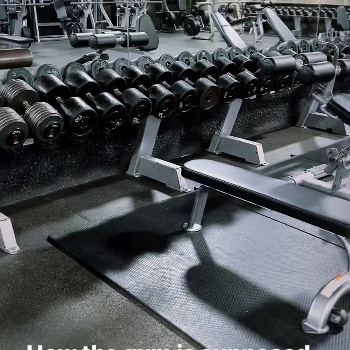 Fitness Evolution - Heavy Dumbbells and always clean - Gyms Near Me - Laurel, Maryland