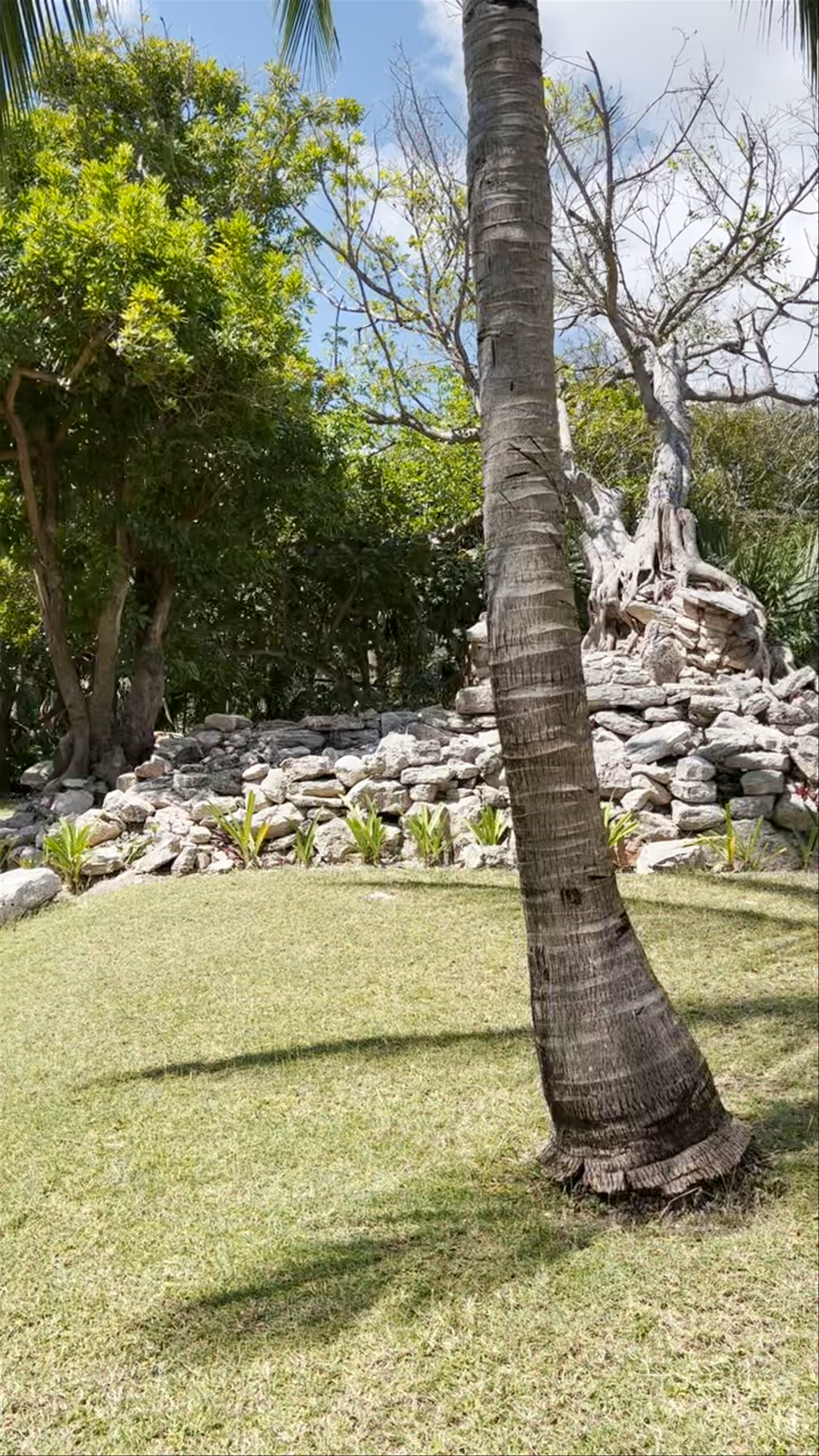 Playacar Mayan Ruinas